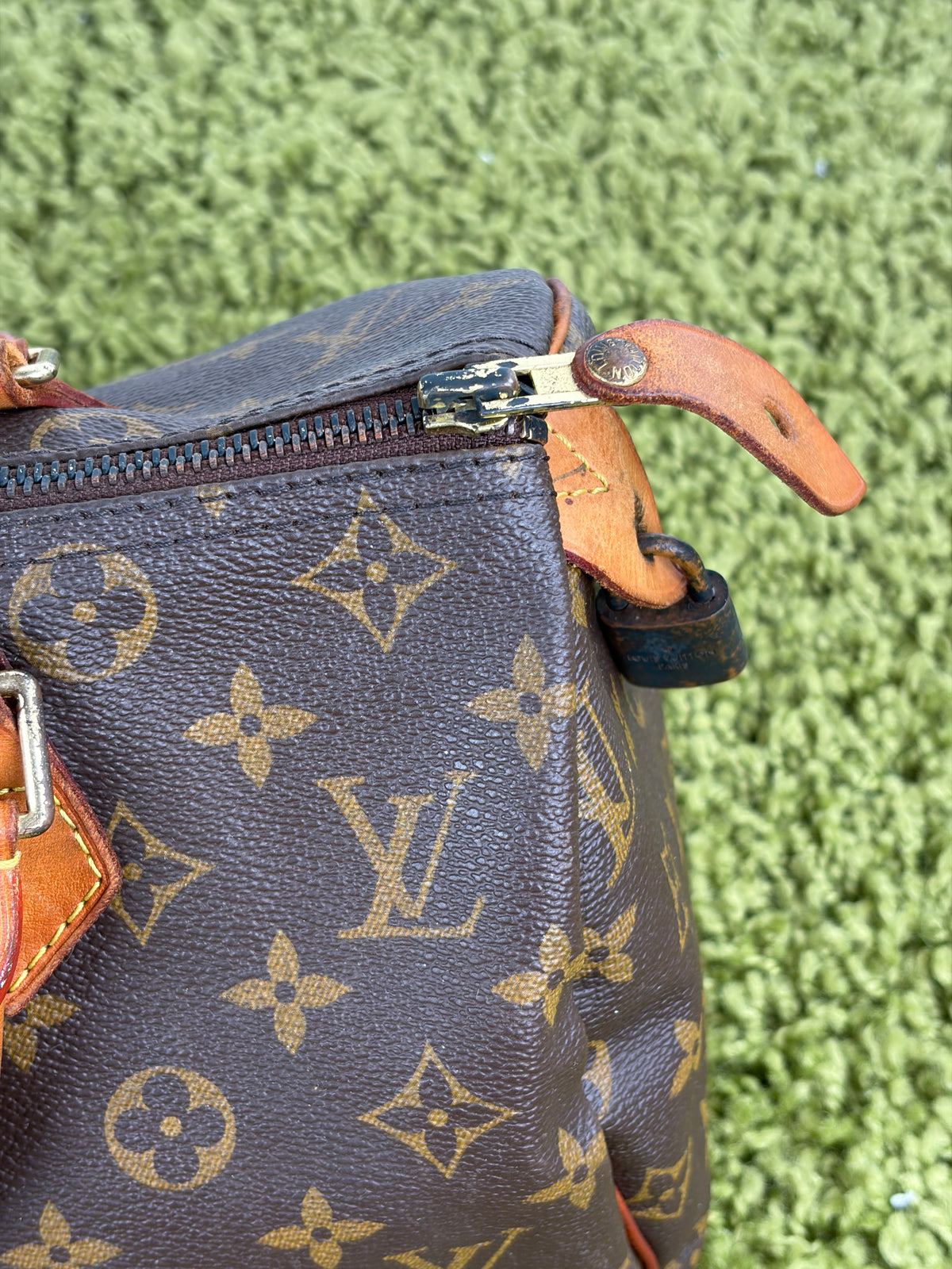 Borsa Louis Vuitton Speedy Marrone