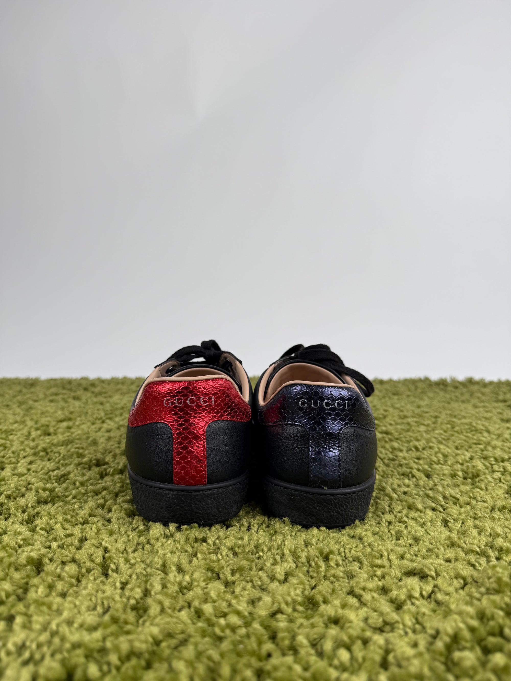 Gucci Ace Sneaker 40 veste 40,5