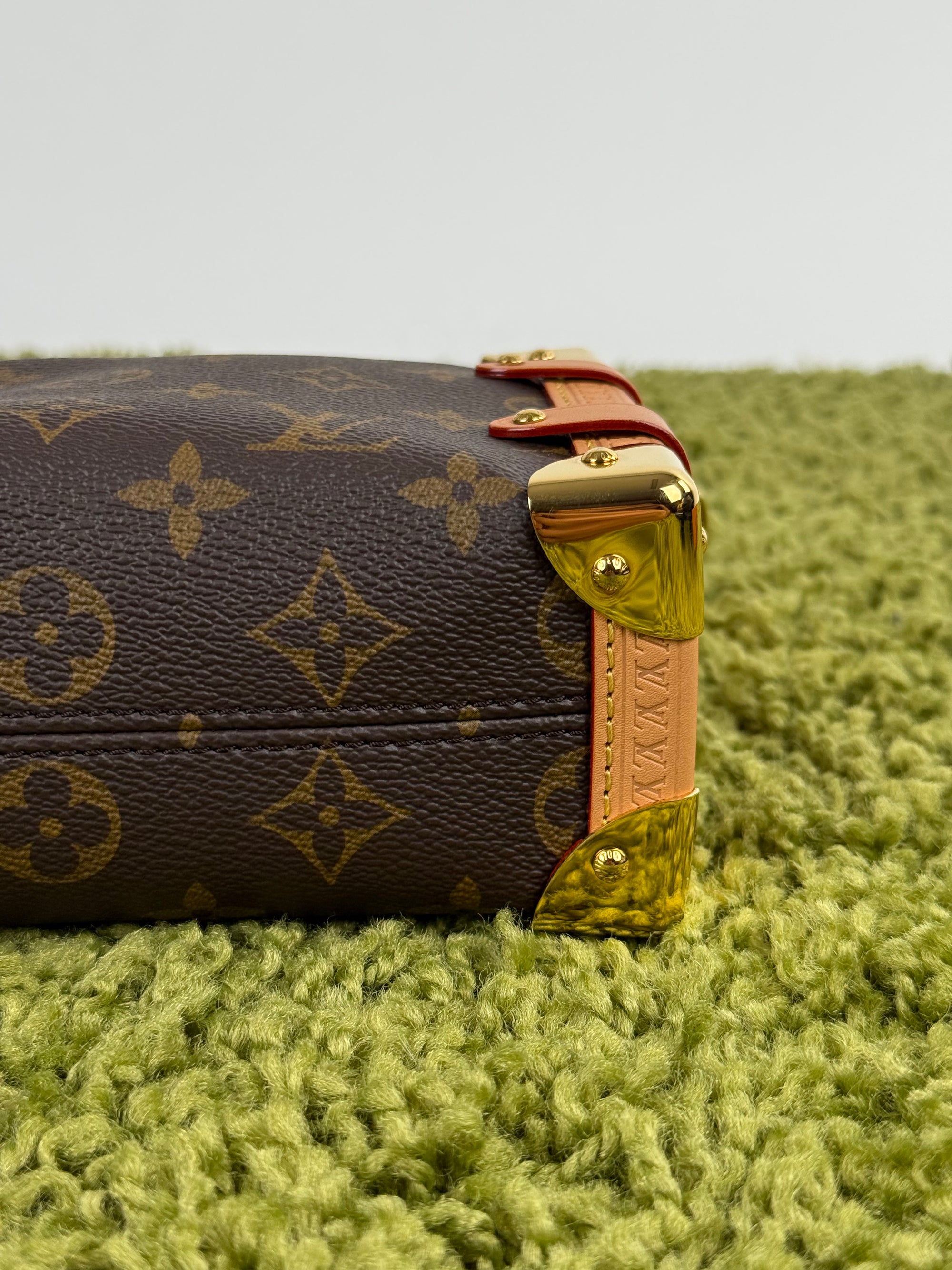 Borsa Side Trunk Louis Vuitton Marrone
