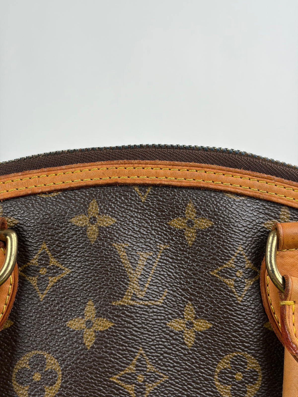 Borsa Louis Vuitton Marrone