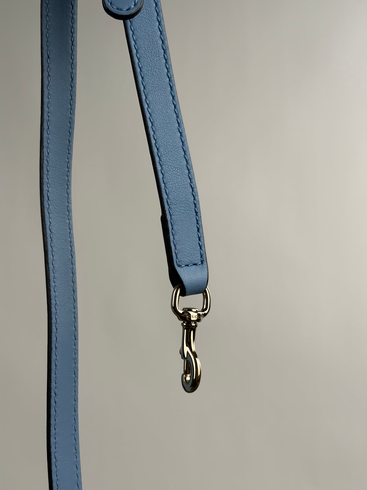 Borsa Dome Gucci Azzurra