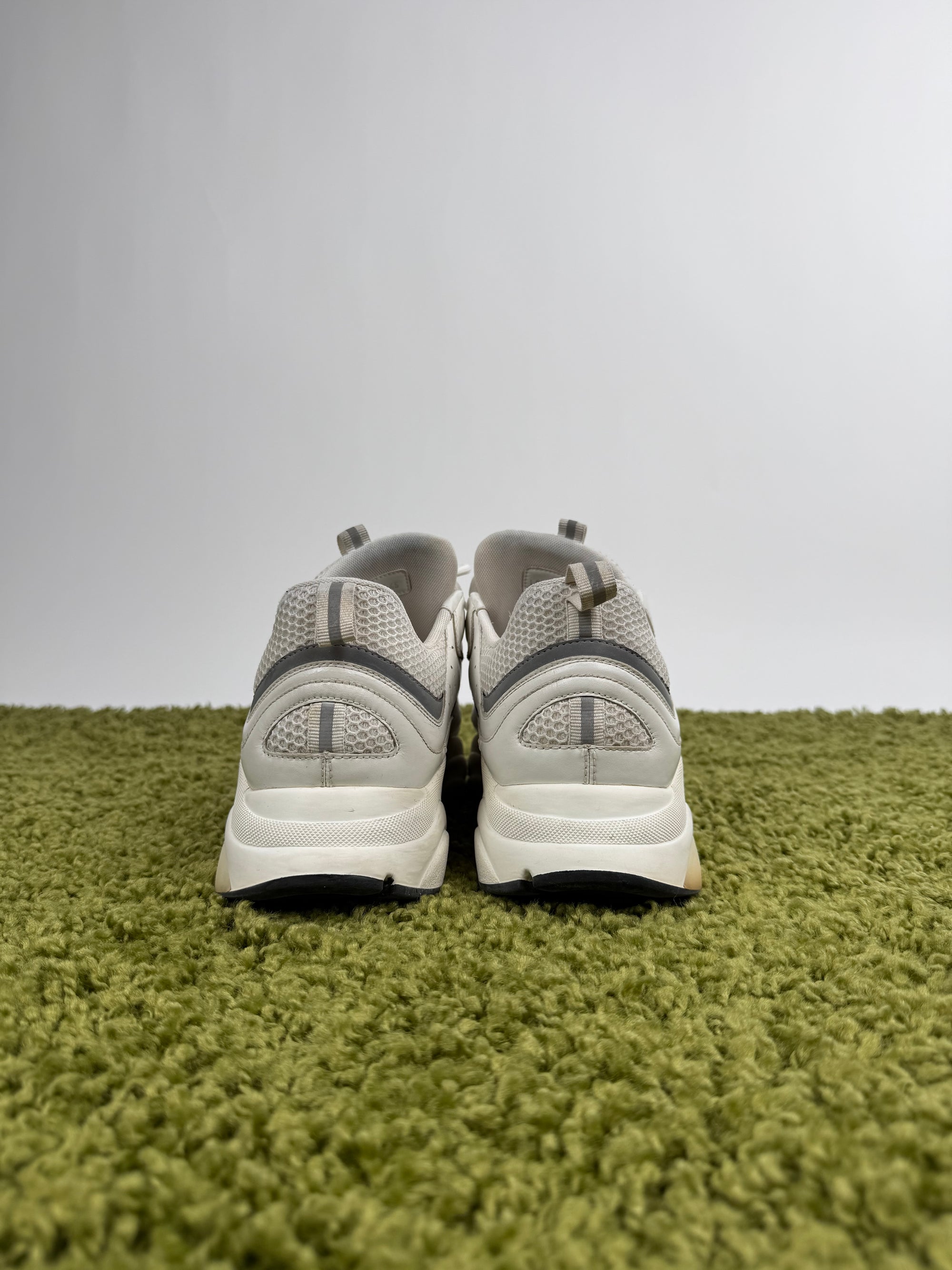 Dior Sneaker B22 45