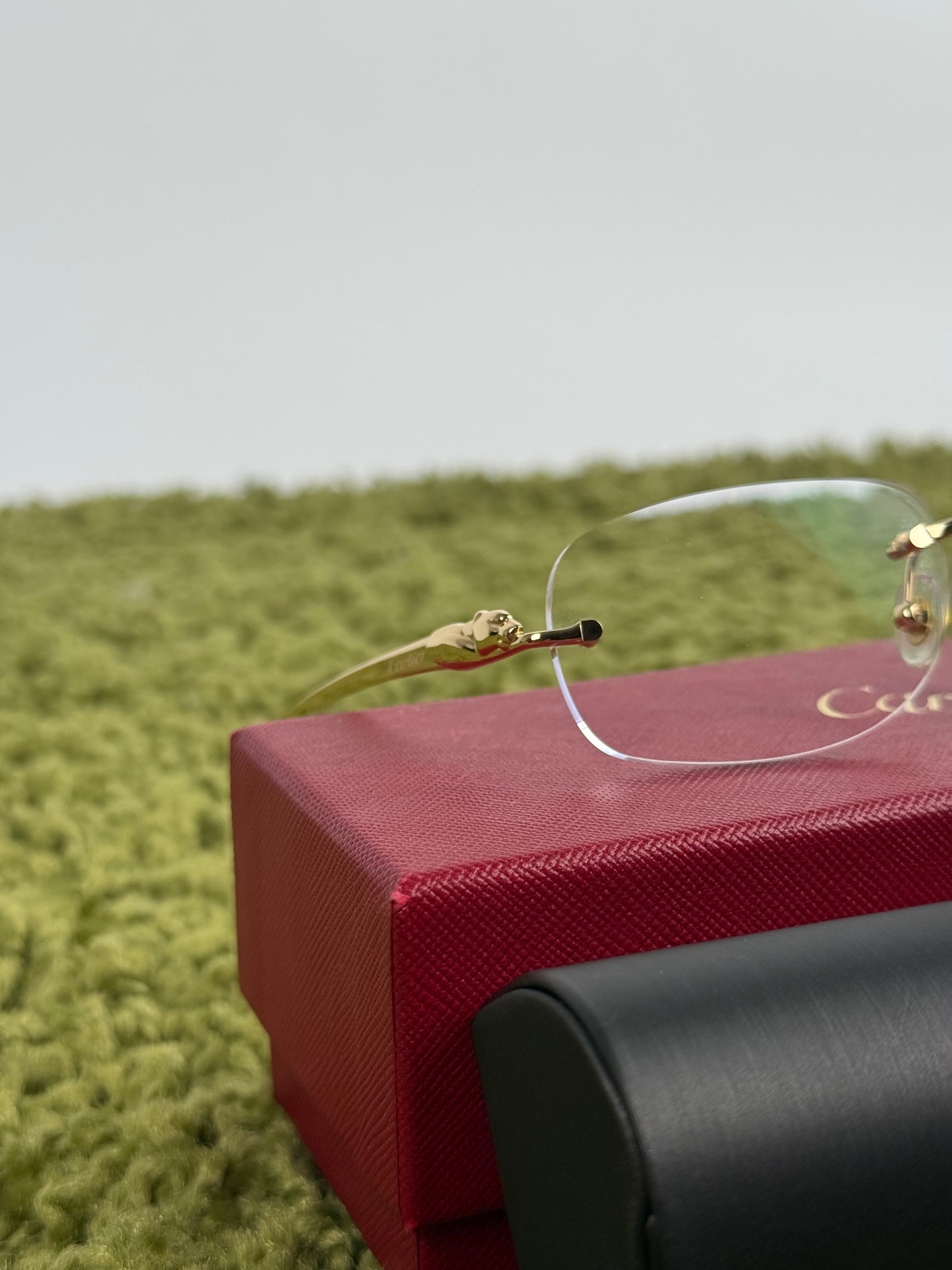 Occhiali Cartier Con Lenti Graduate da sostituire