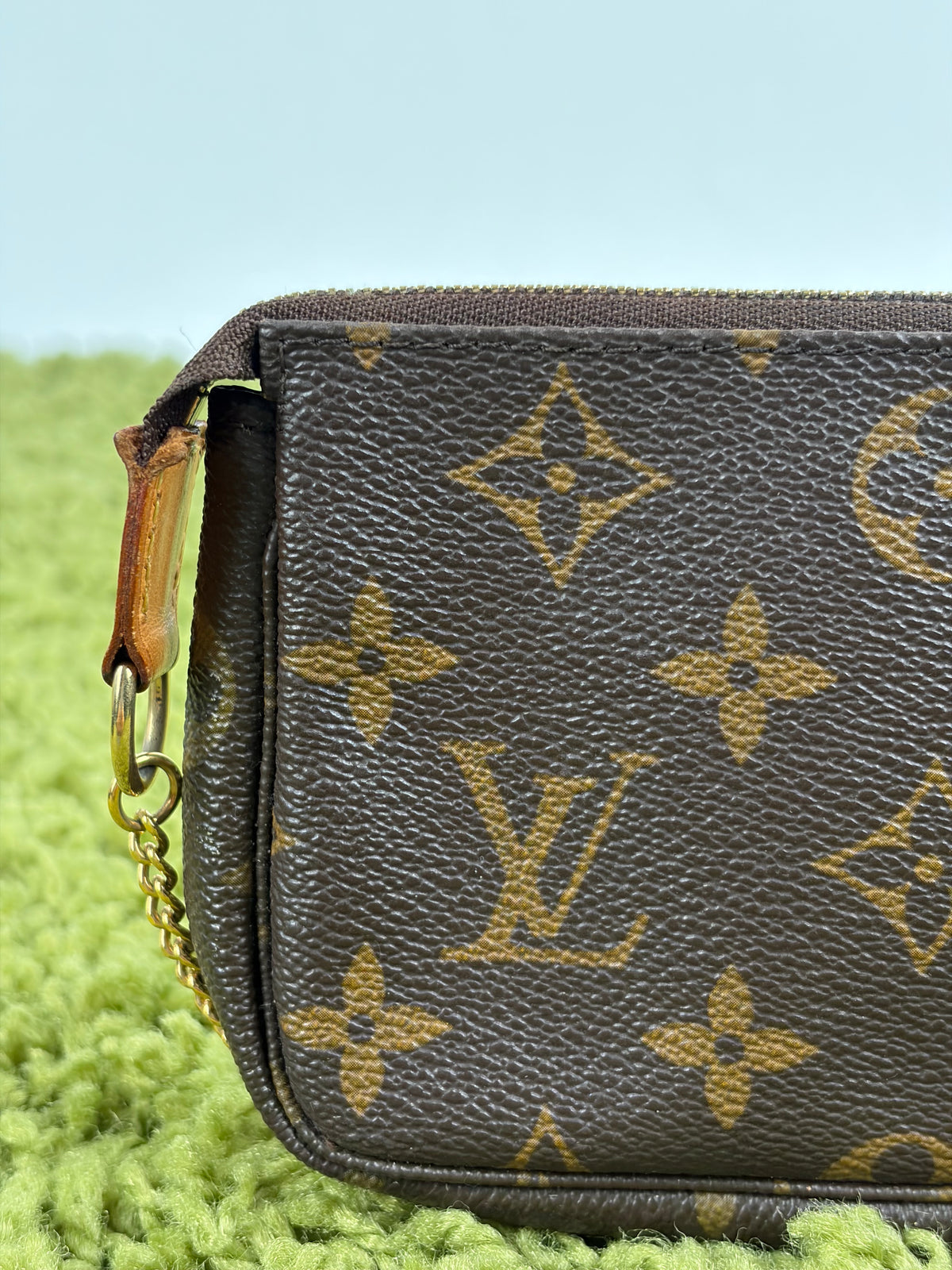 Mini Borsa Louis Vuitton Marrone