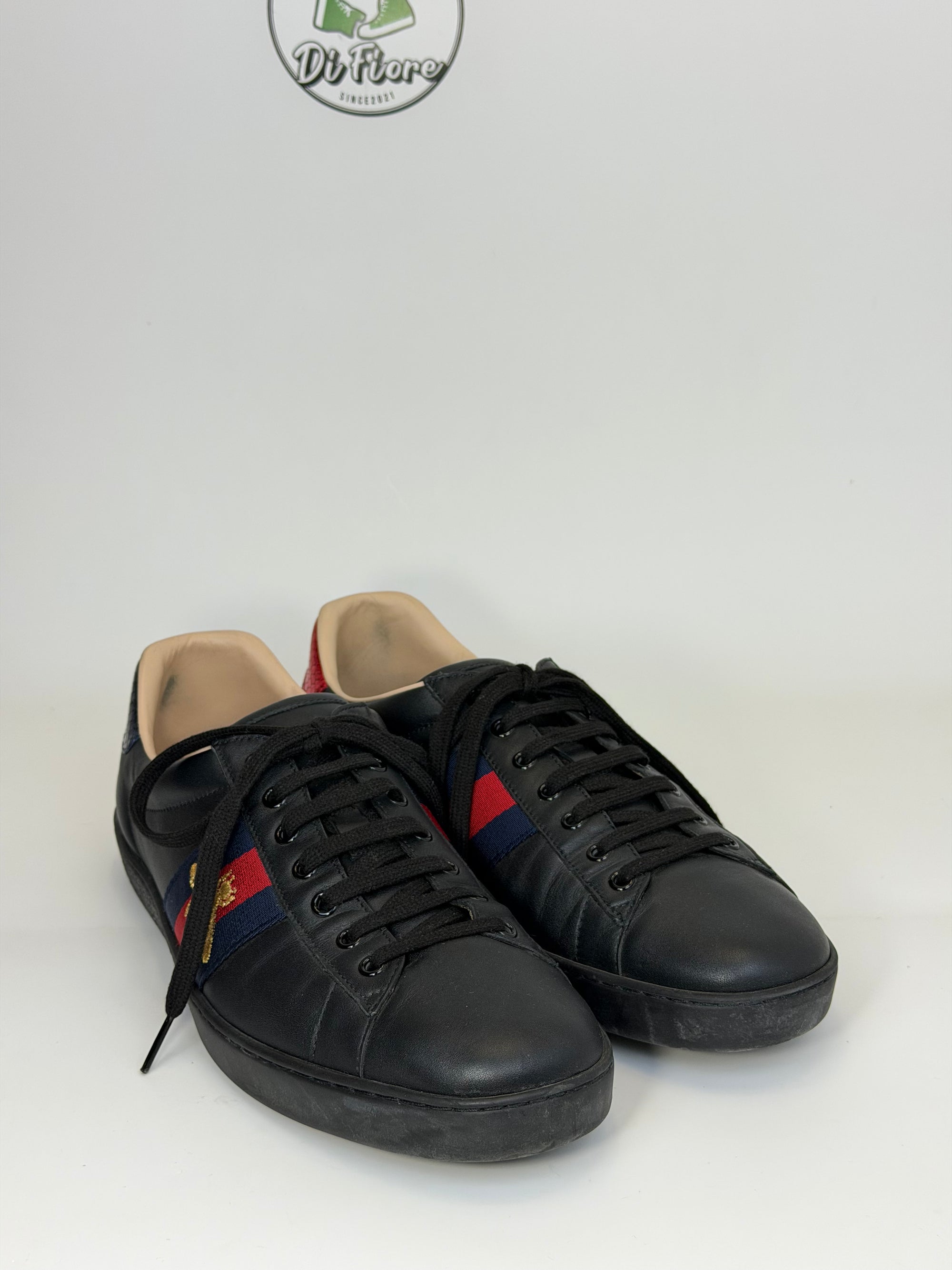 Gucci Ace Size 11=45 veste 45.5 nere blu e rosse
