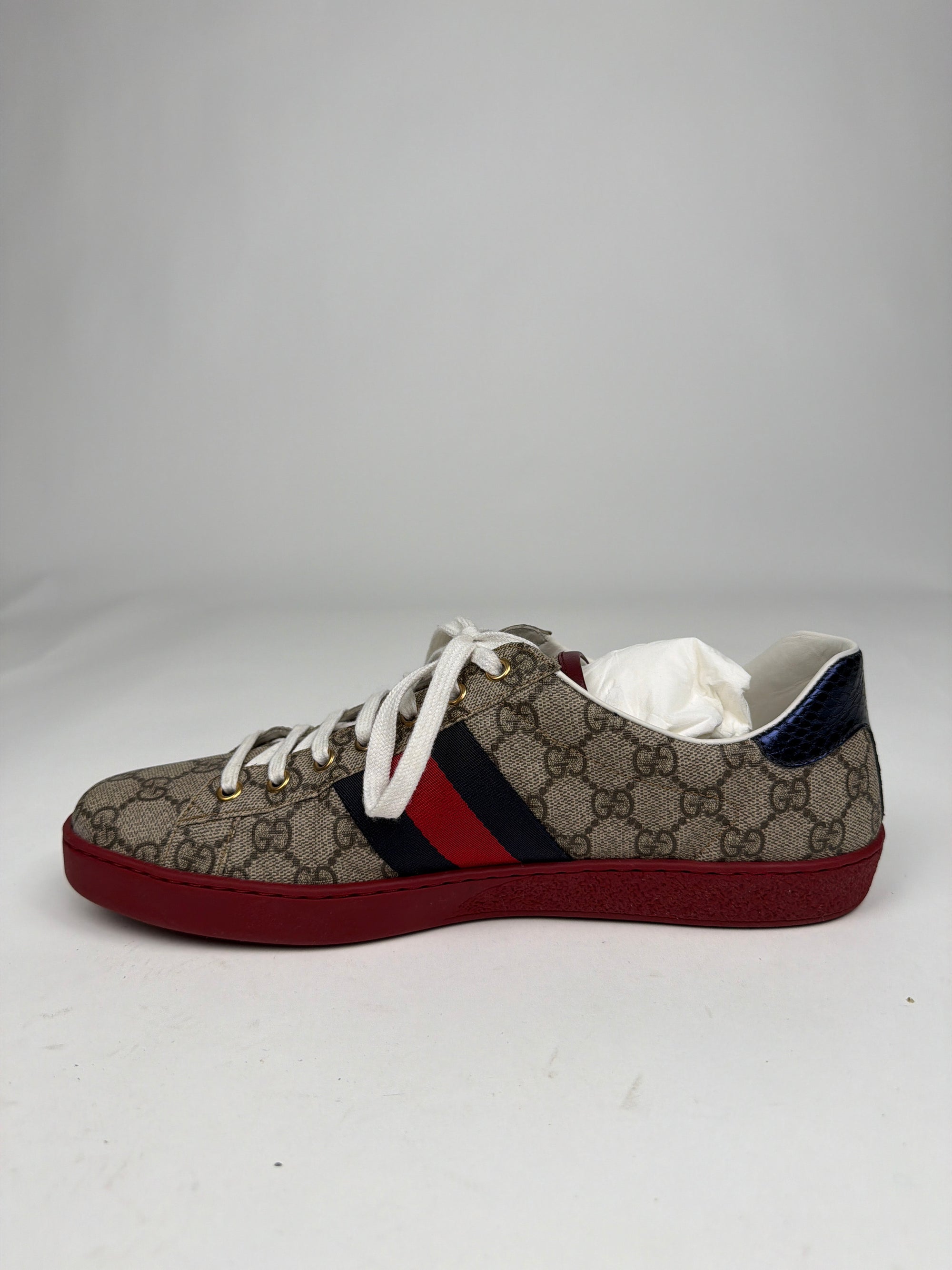Gucci ace 10
