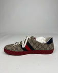 Gucci ace 10