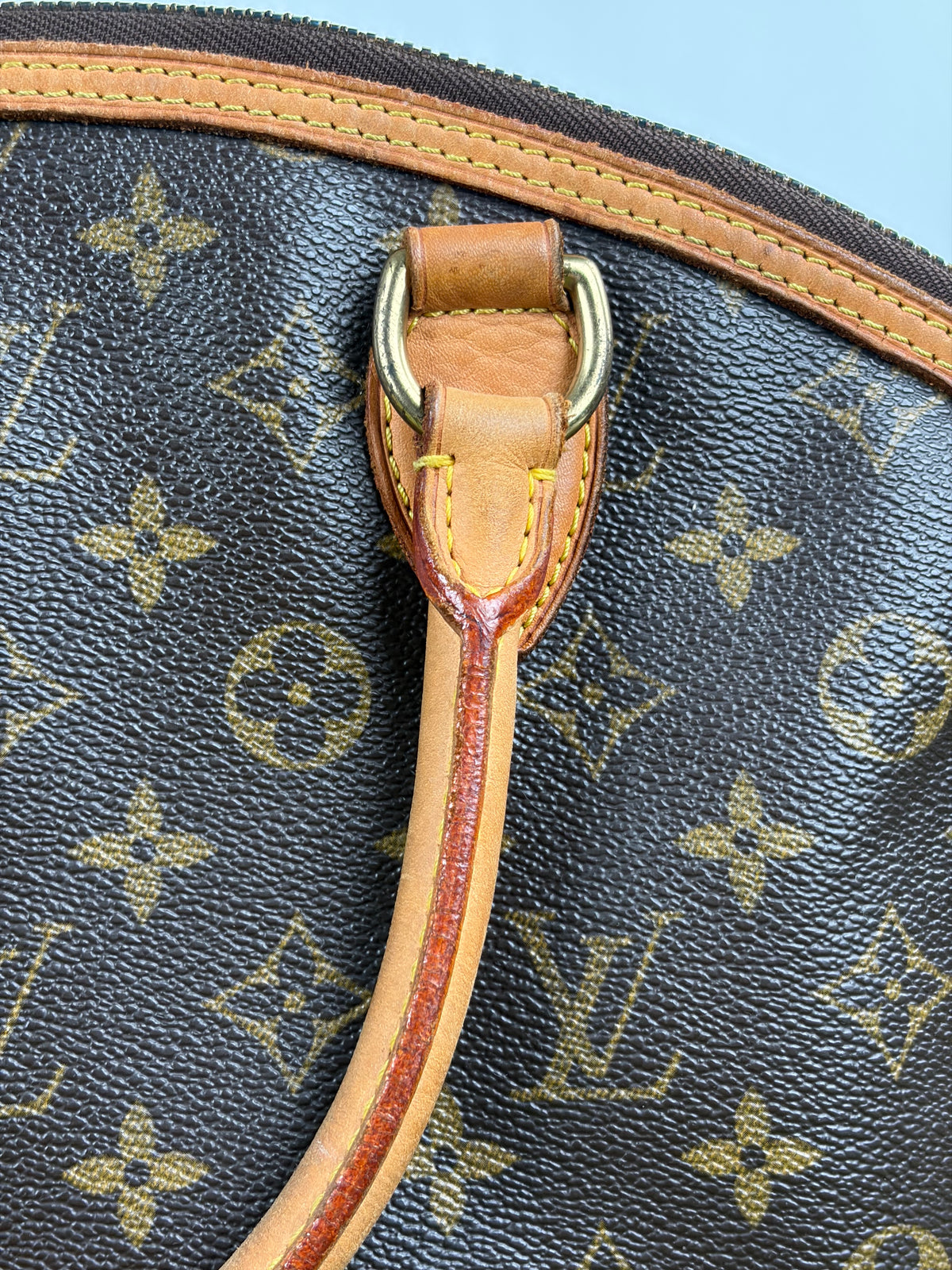 Borsa Louis Vuitton Marrone