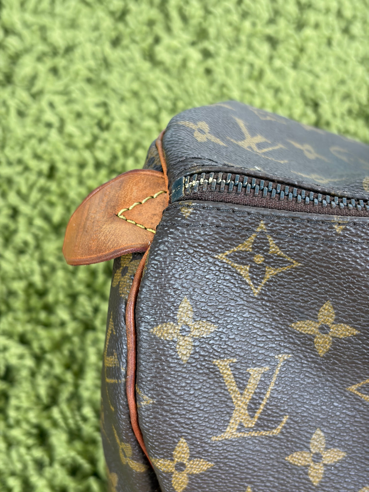 Borsa Louis Vuitton Speedy Marrone