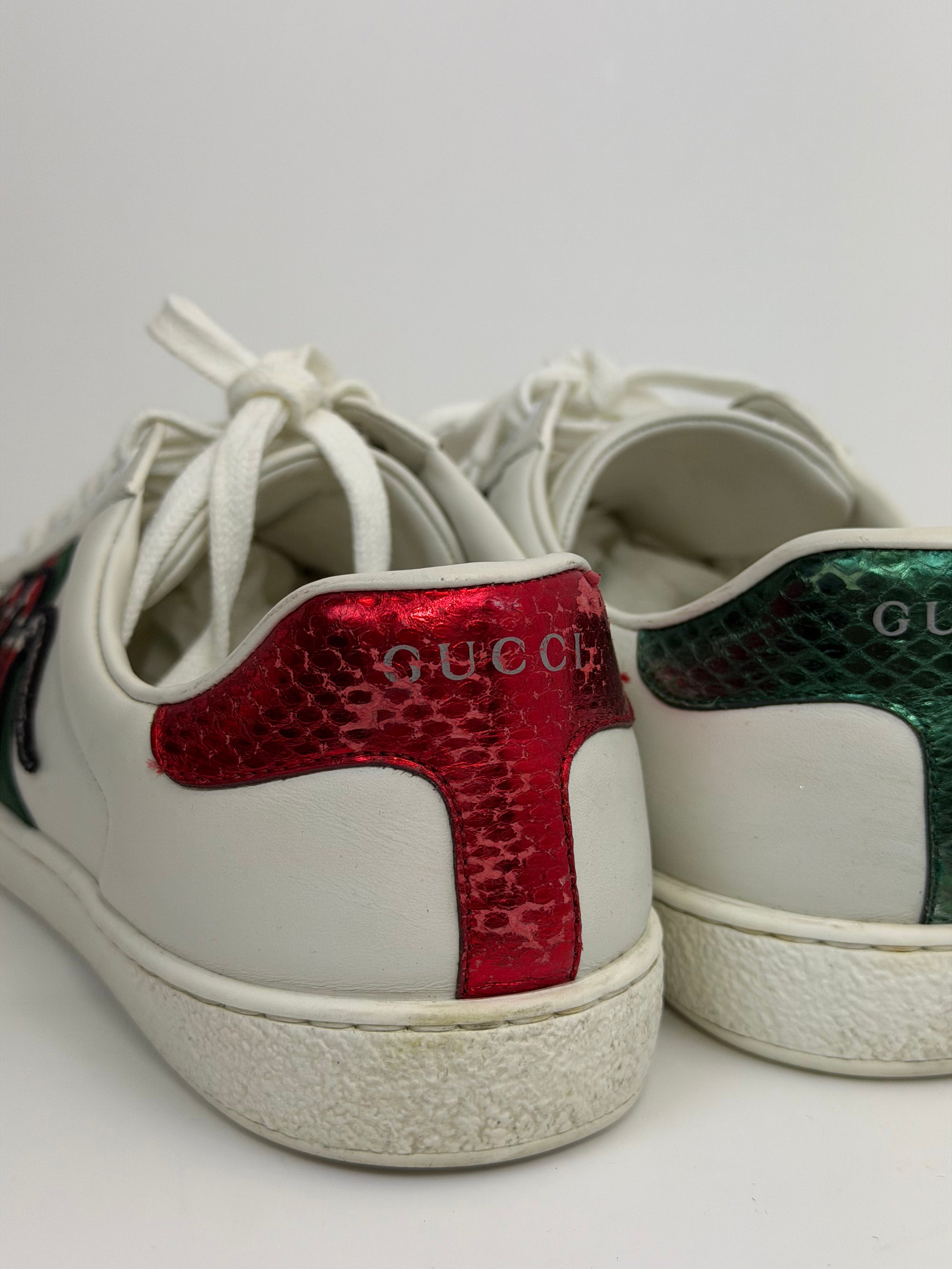 Gucci ace con serpente