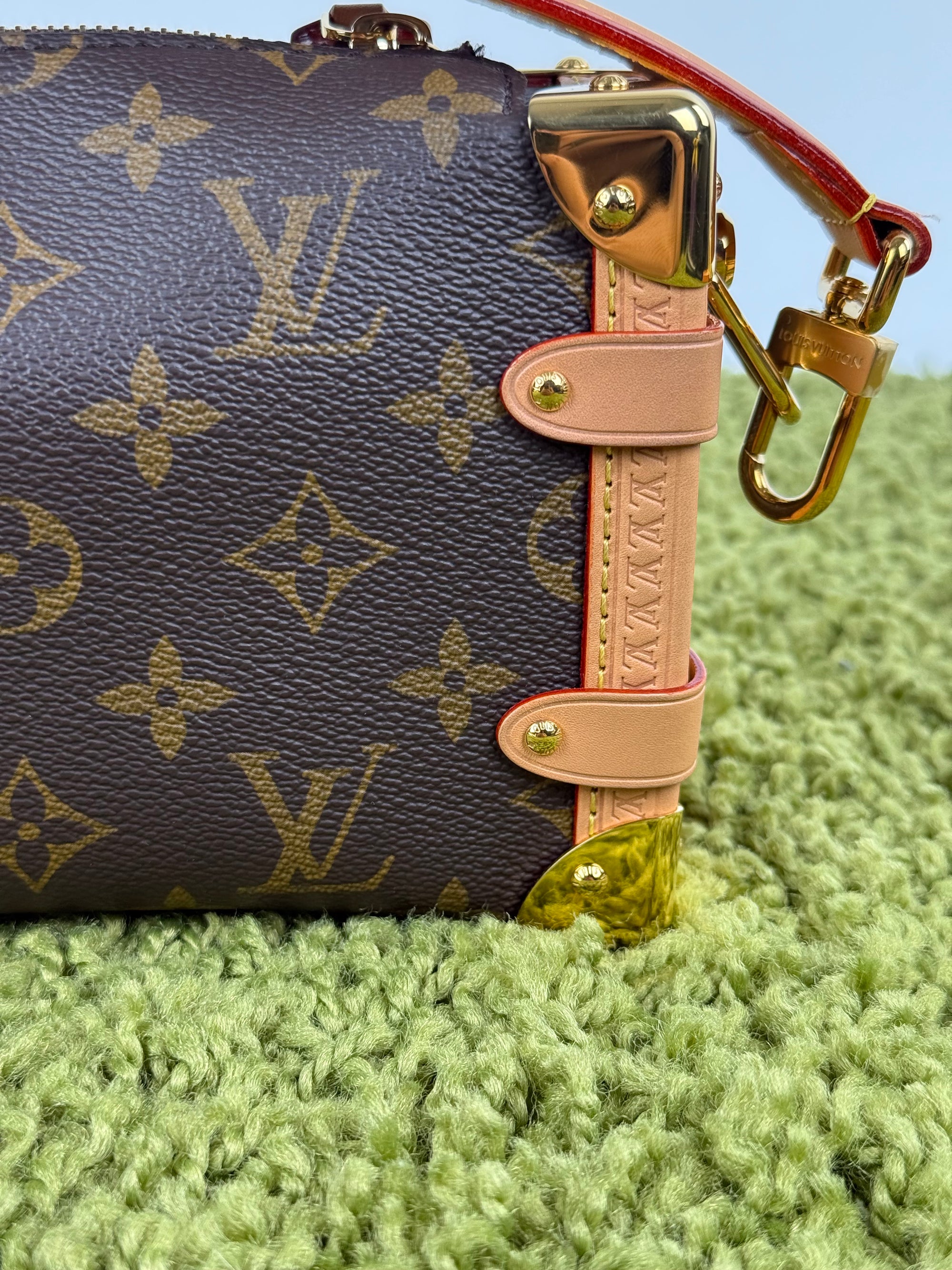 Borsa Side Trunk Louis Vuitton Marrone