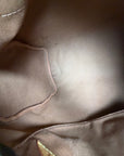 Borsa Louis Vuitton Speedy Marrone