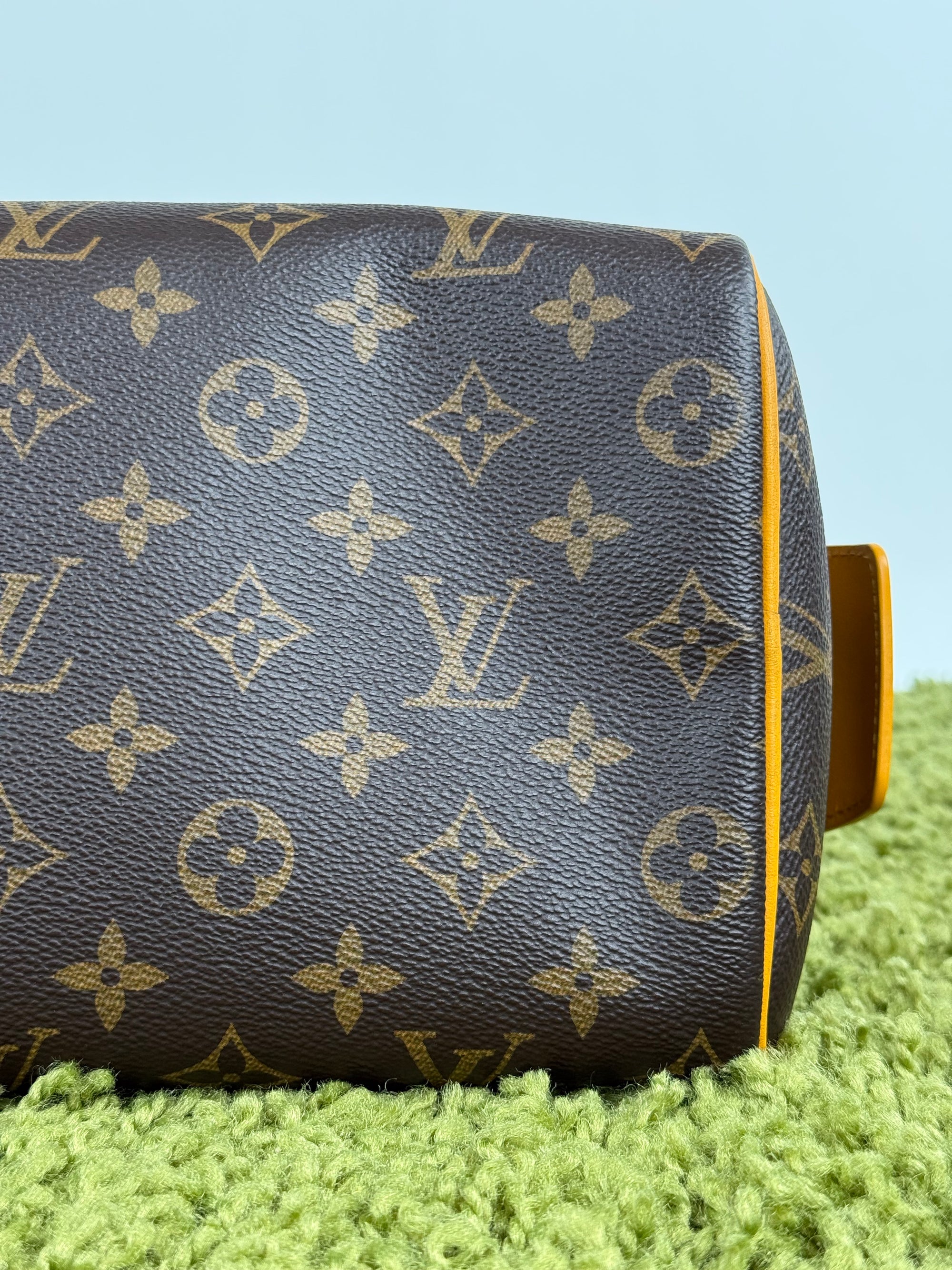 Beauty Case Louis Vuitton Marrone