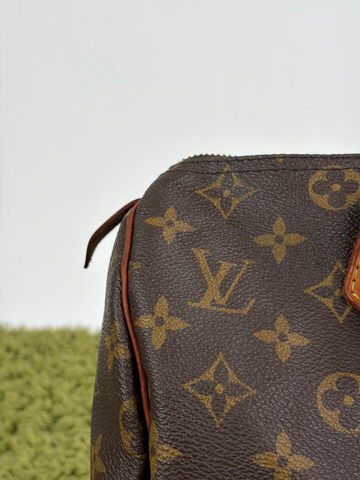 Borsa Louis Vuitton Speedy Marrone