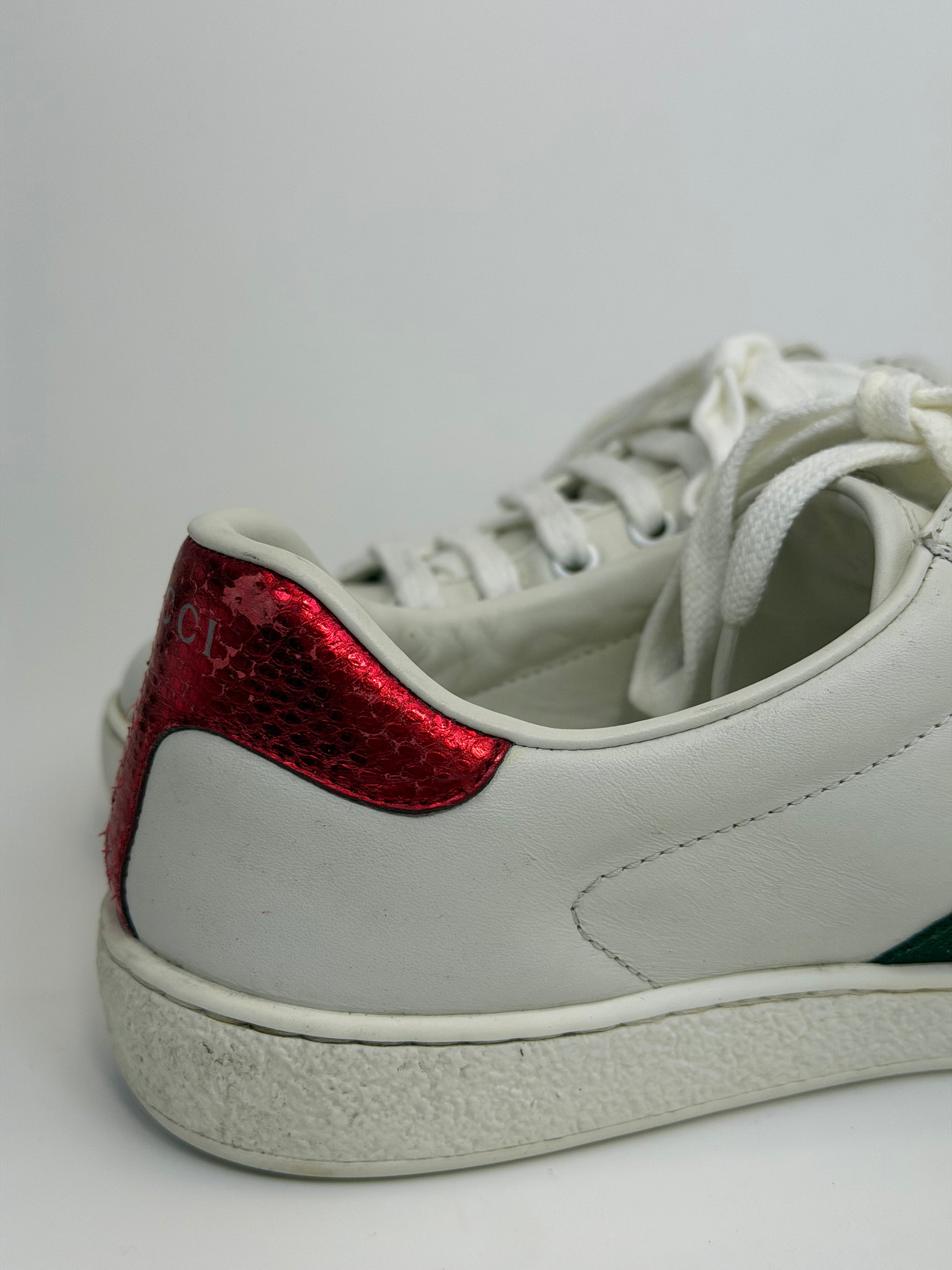 Gucci ace con serpente