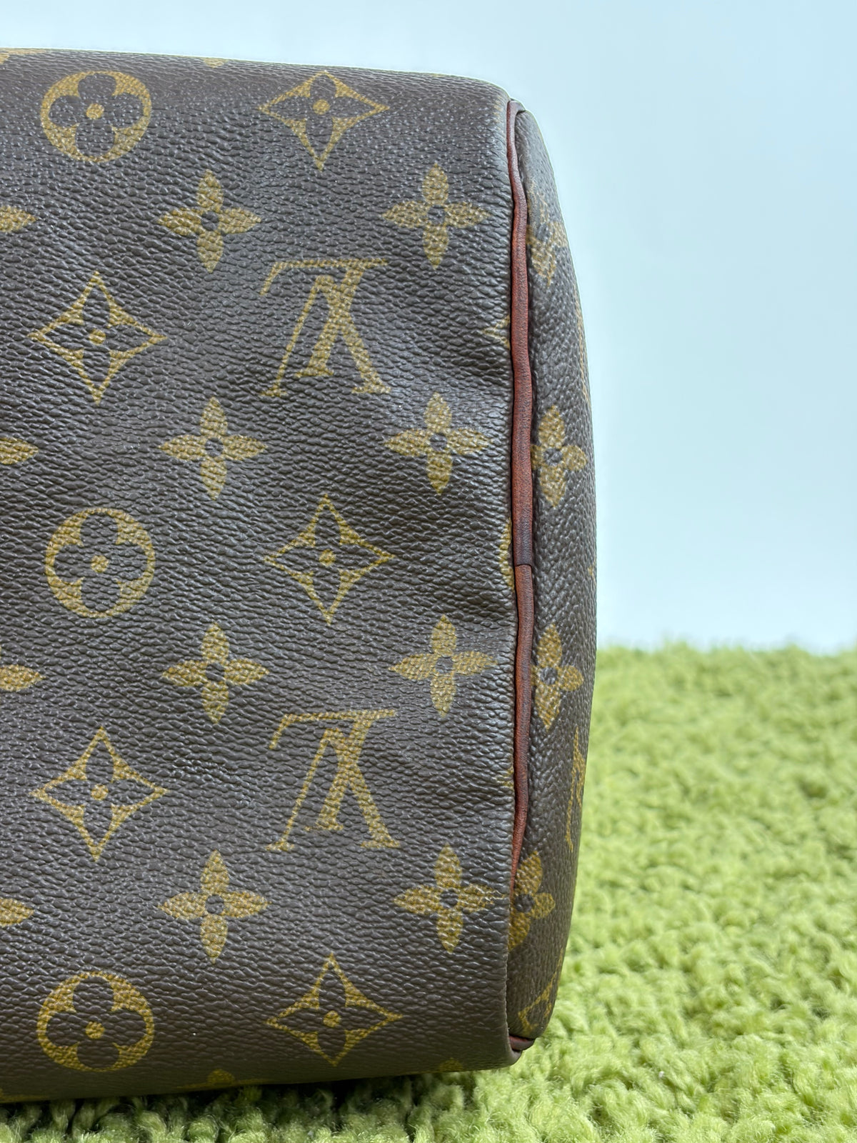 Borsa Louis Vuitton Speedy Marrone