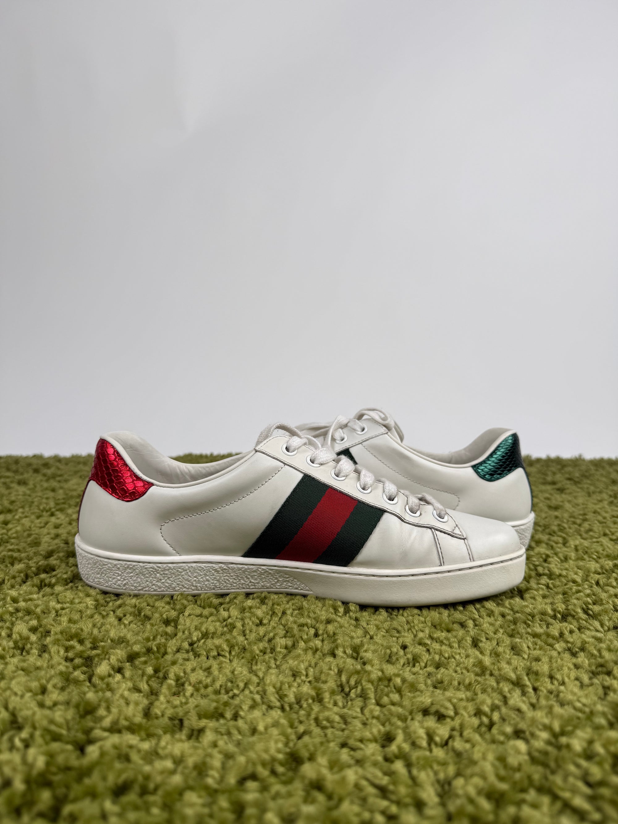 Gucci Ace Sneaker 40 veste 40,5