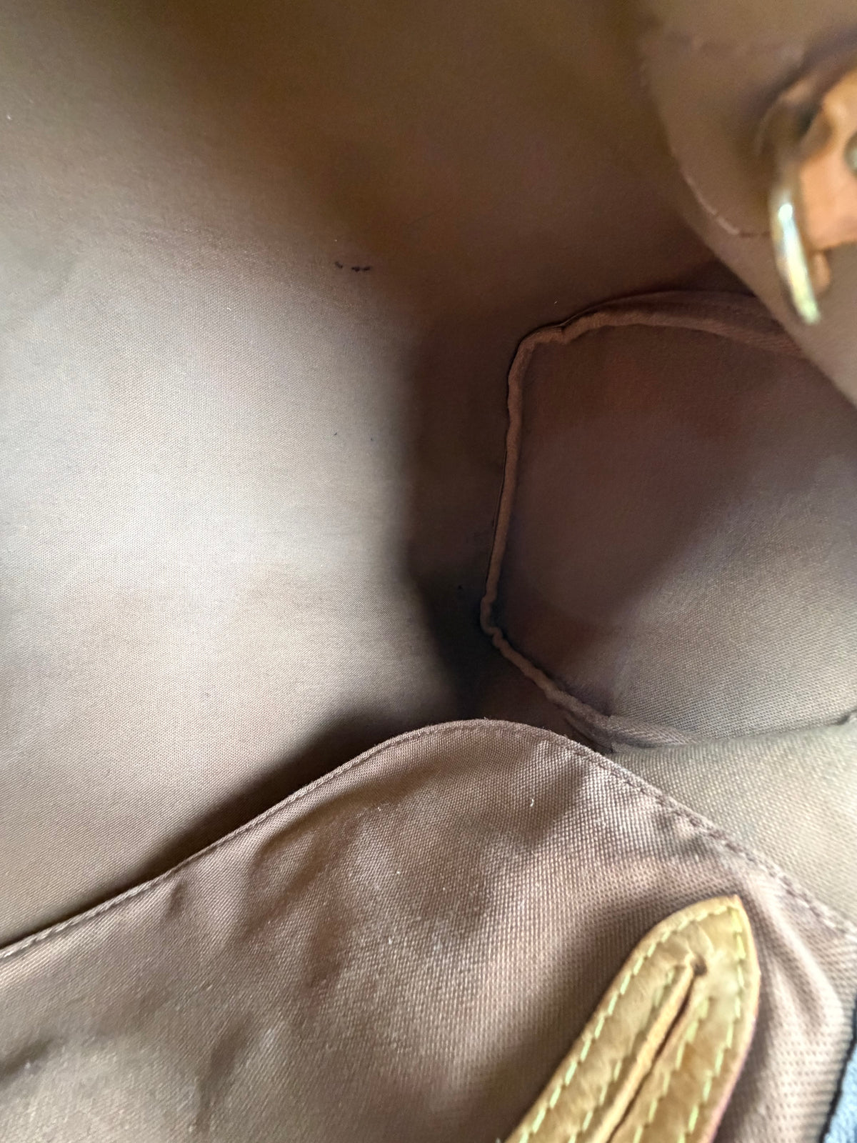 Borsa Louis Vuitton Speedy Marrone