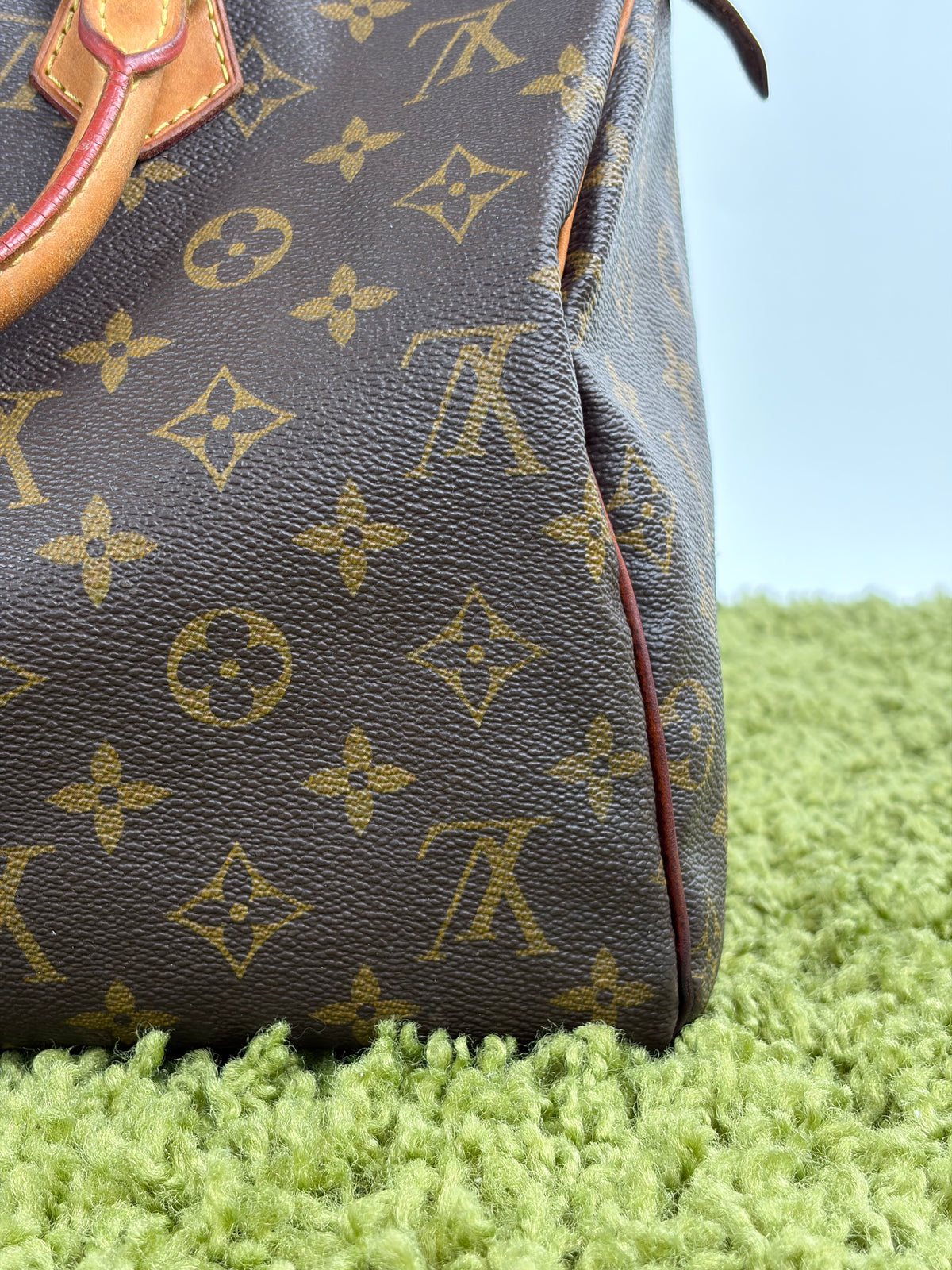 Borsa Louis Vuitton Speedy Marrone