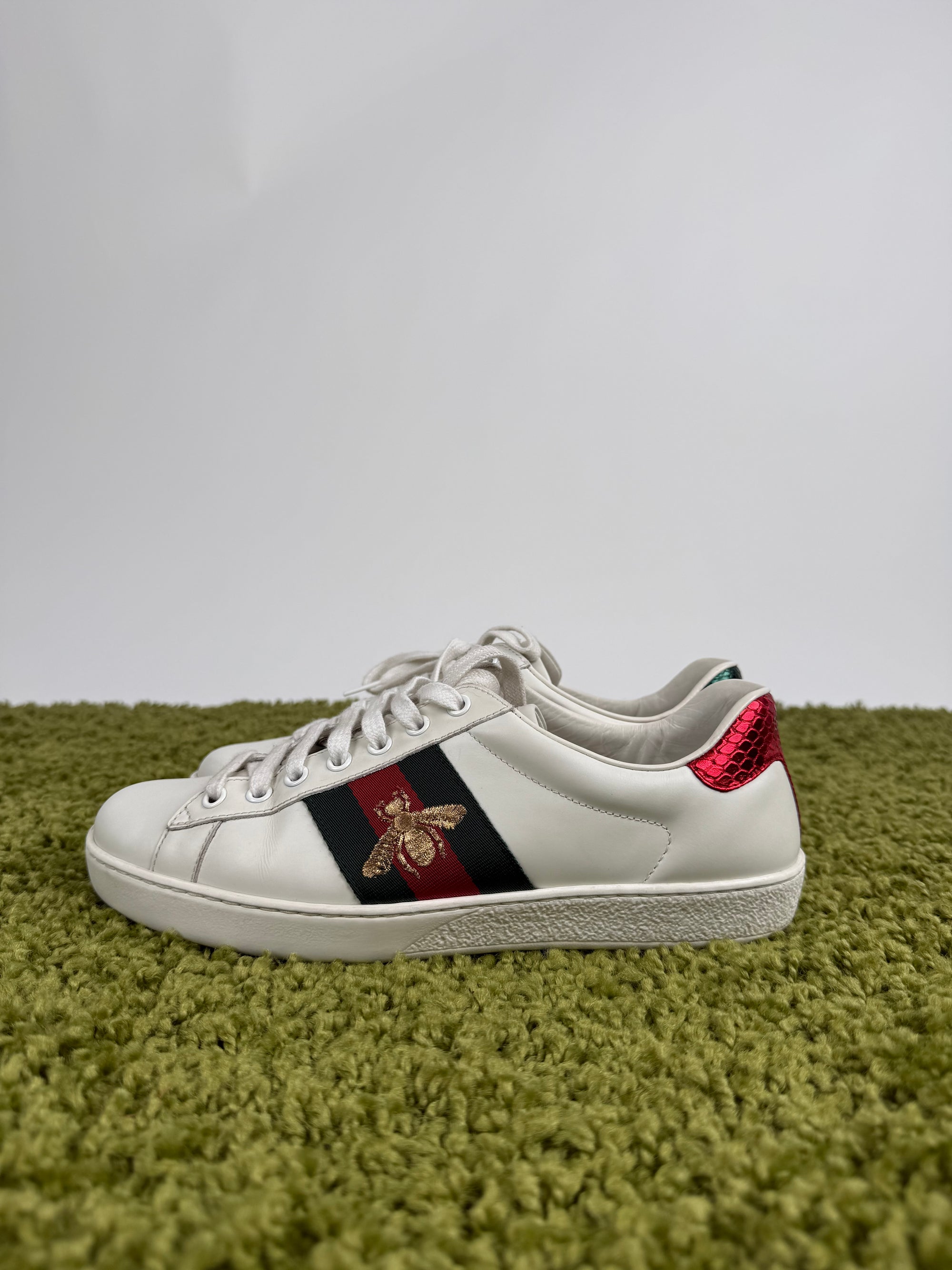 Gucci Ace Sneaker 40 veste 40,5