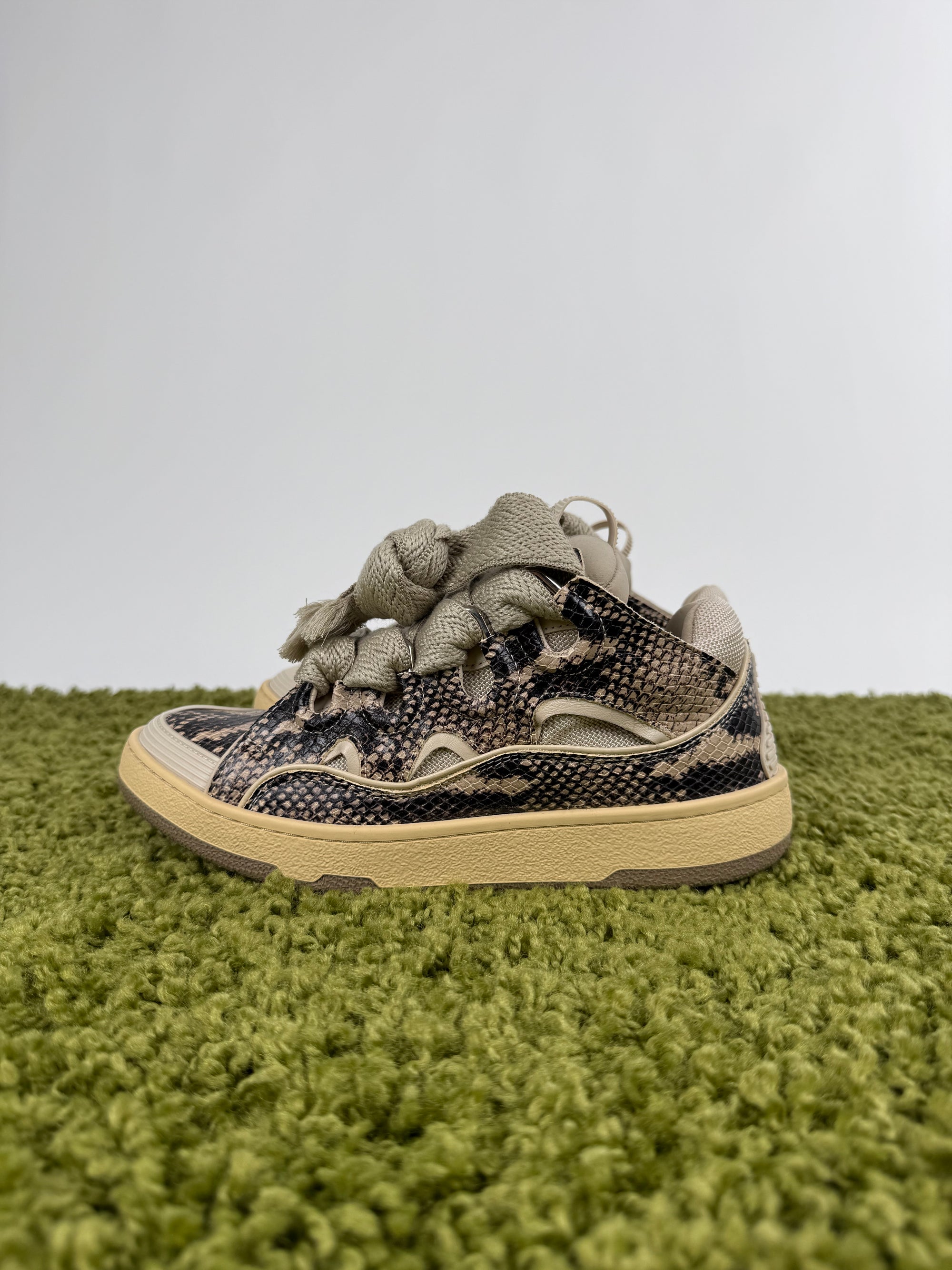 Lanvin Curb Con dettaglio Pelle di serpente 39