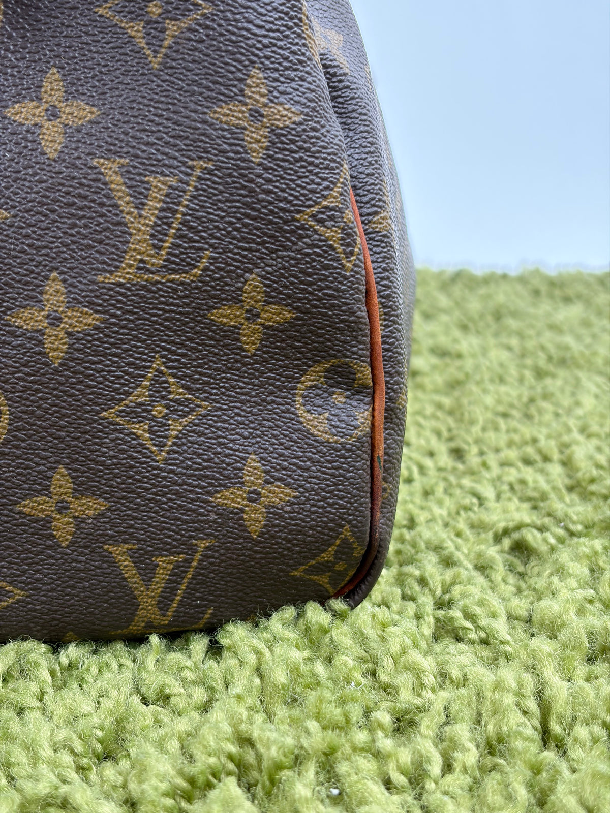 Borsa Louis Vuitton Speedy Marrone