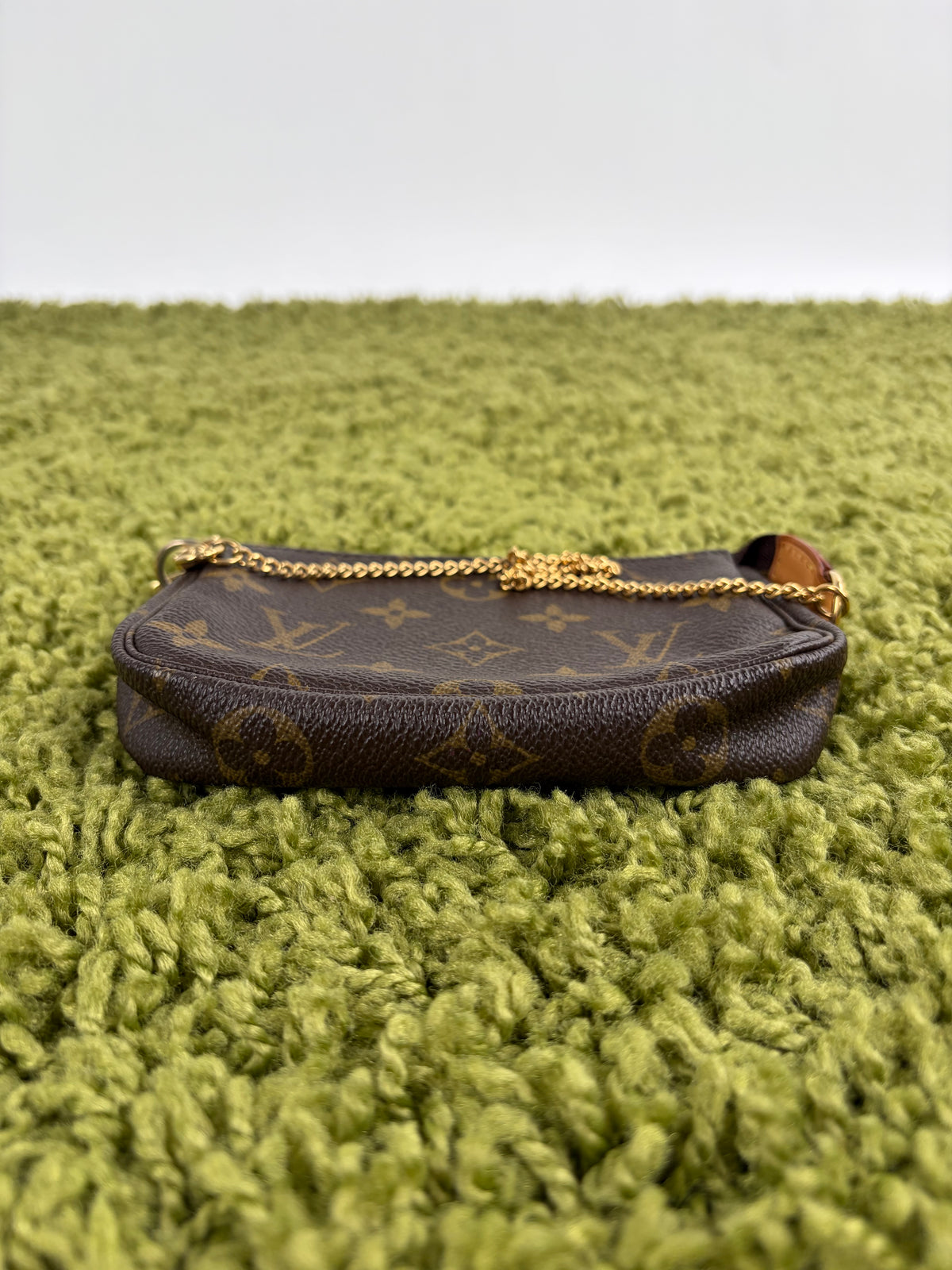 Mini Borsa Louis Vuitton Marrone