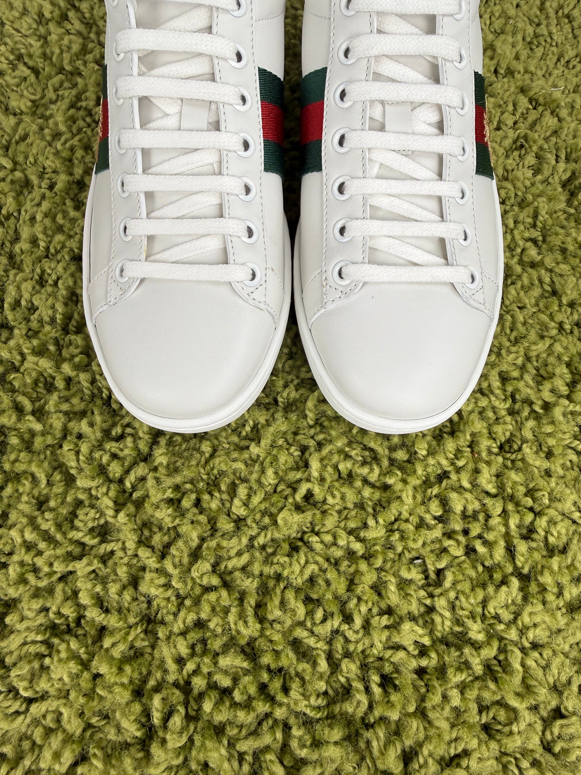 Gucci Ace Bianca 36.5