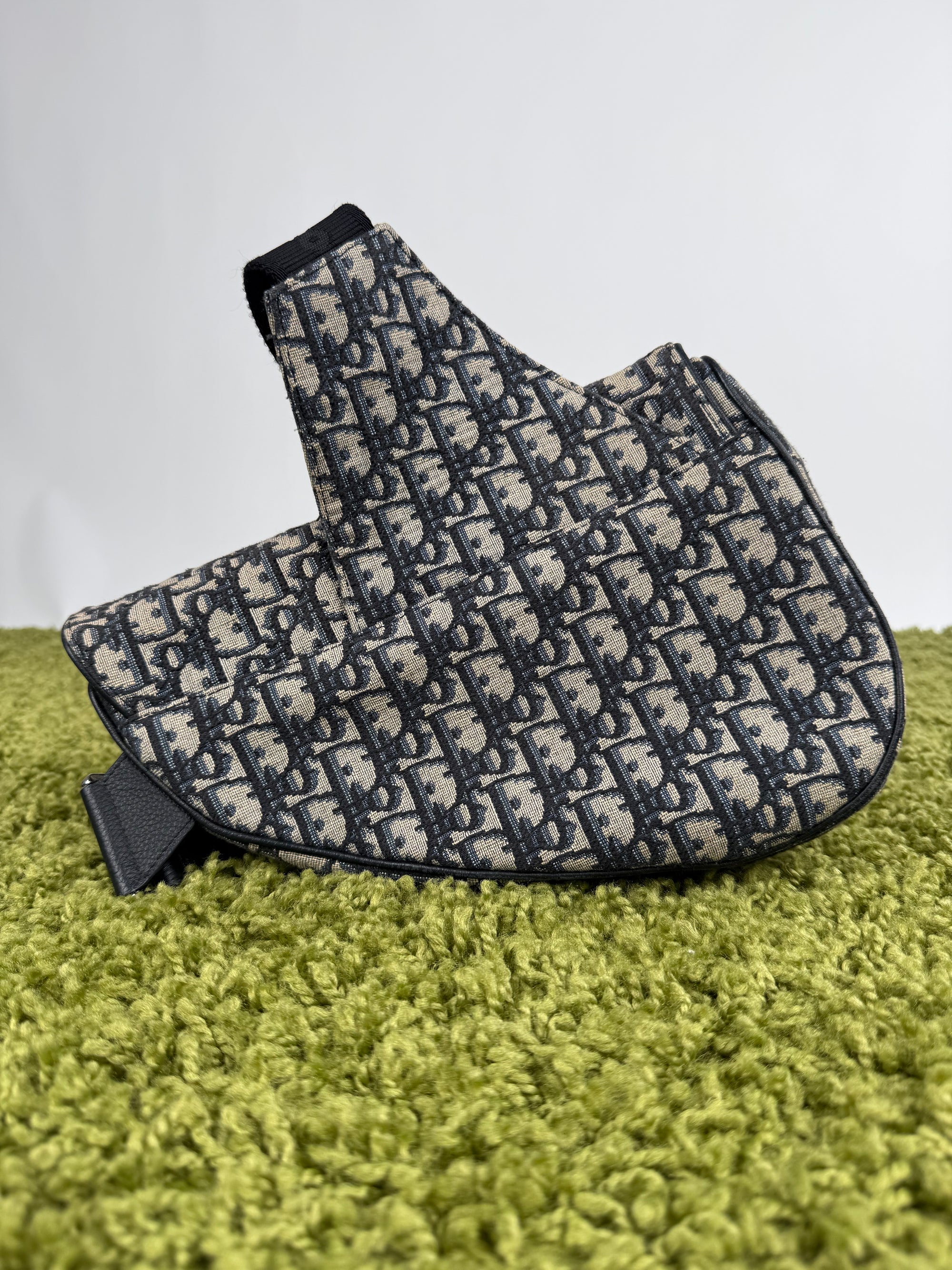Borsa Saddle Christian Dior In oblique Beige Blu