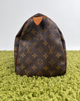 Borsa Louis Vuitton Speedy Marrone