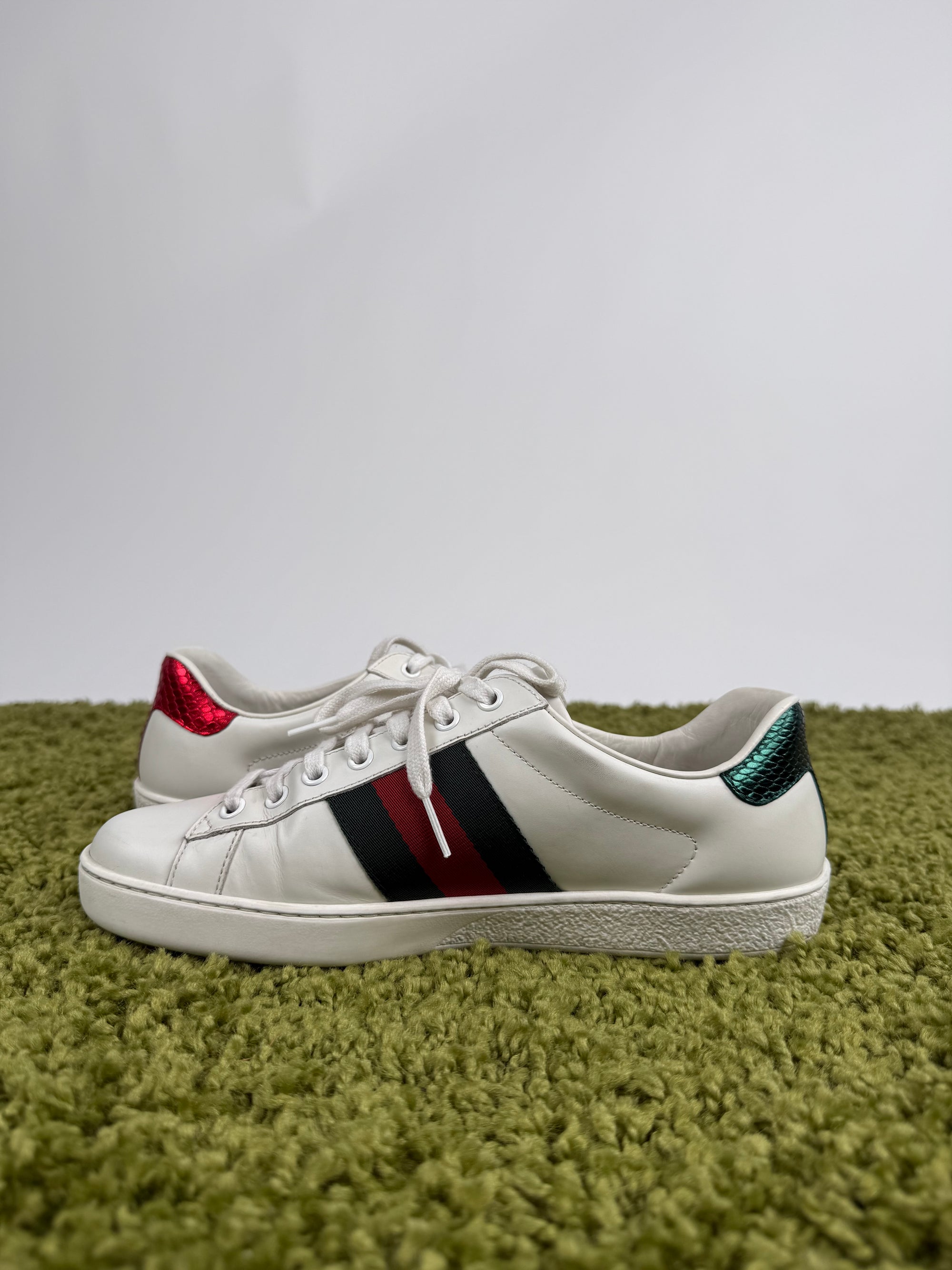 Gucci Ace Sneaker 40 veste 40,5