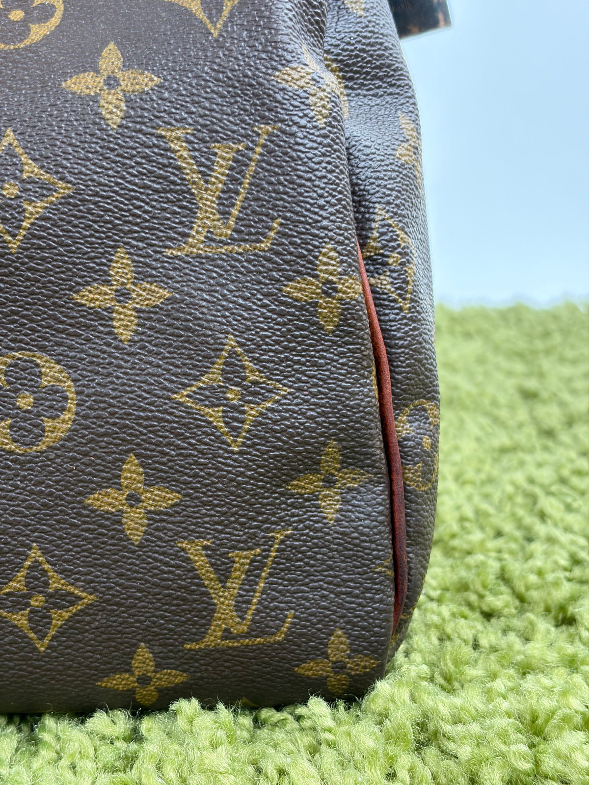 Borsa Louis Vuitton Speedy Marrone