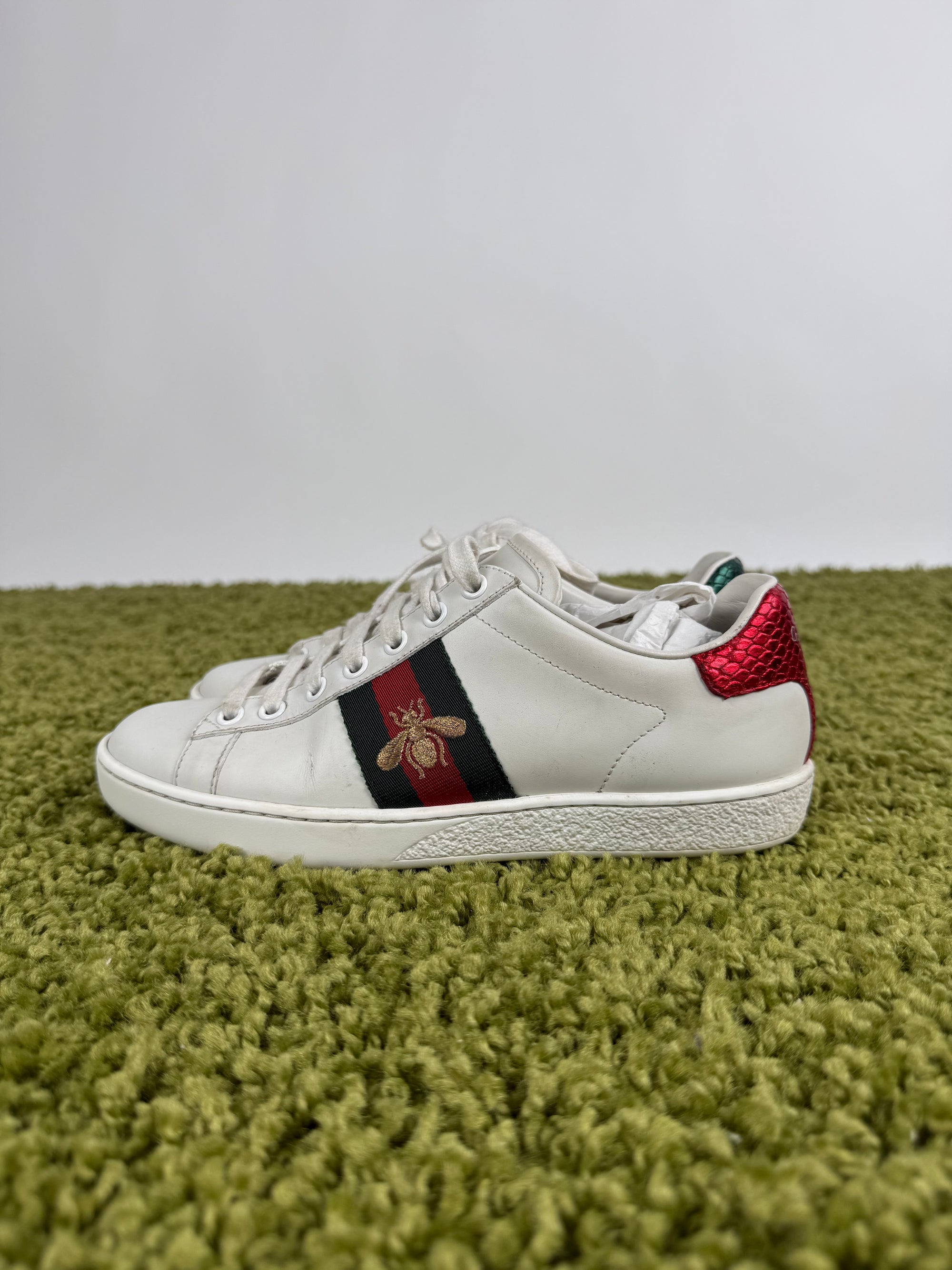 Gucci Ace Sneaker 35,5 veste 36