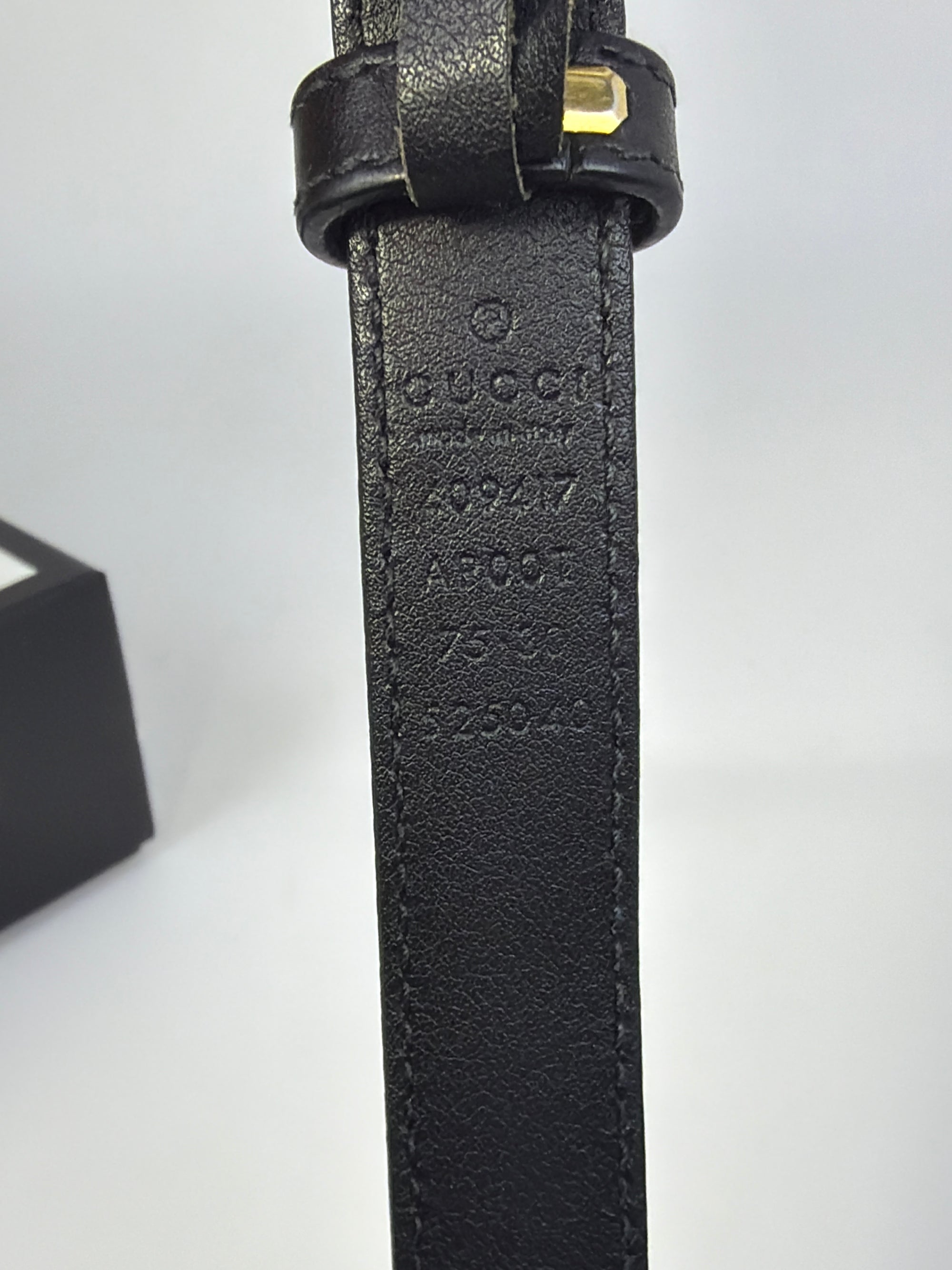 Cintura Gucci marmont