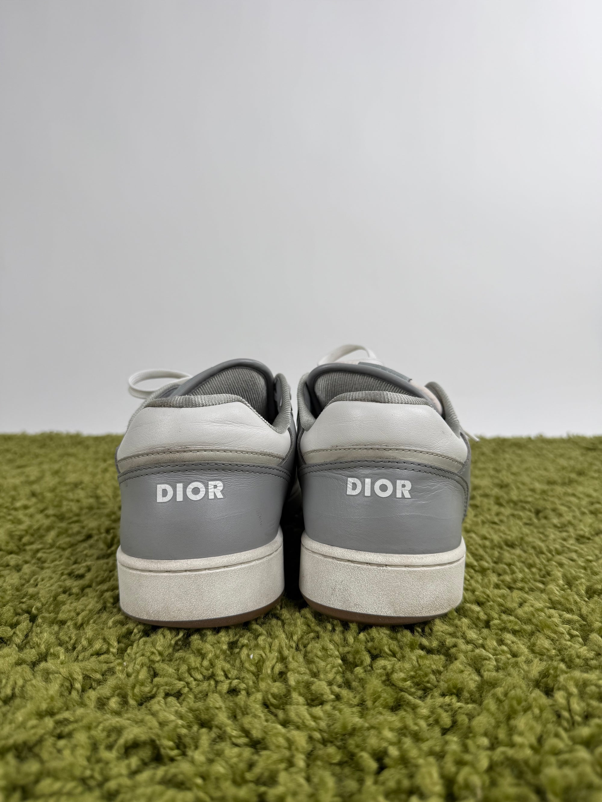 Christian Dior B27 Grigia 43