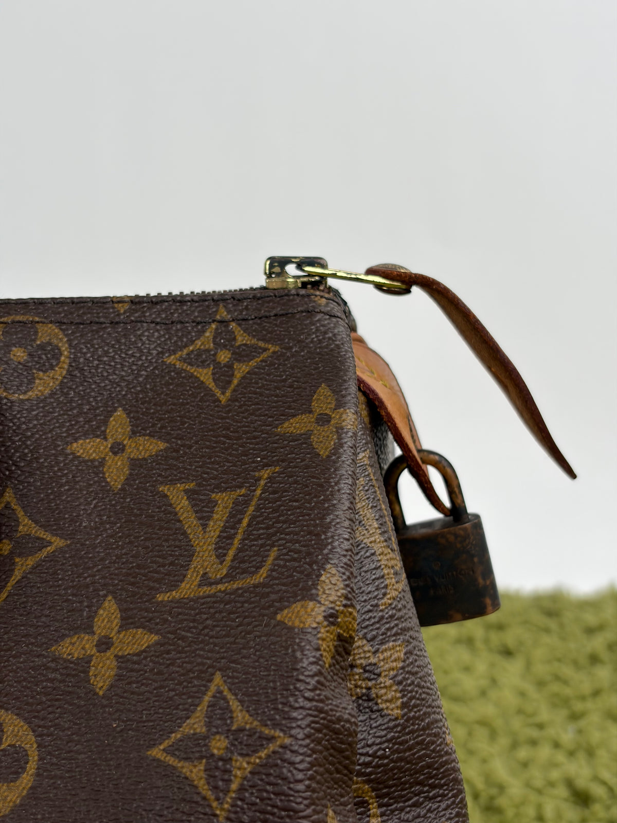 Borsa Louis Vuitton Speedy Marrone
