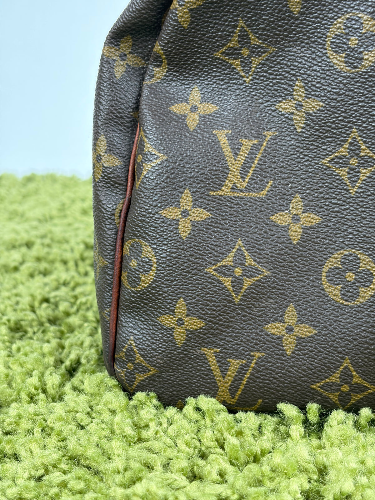 Borsa Louis Vuitton Speedy Marrone