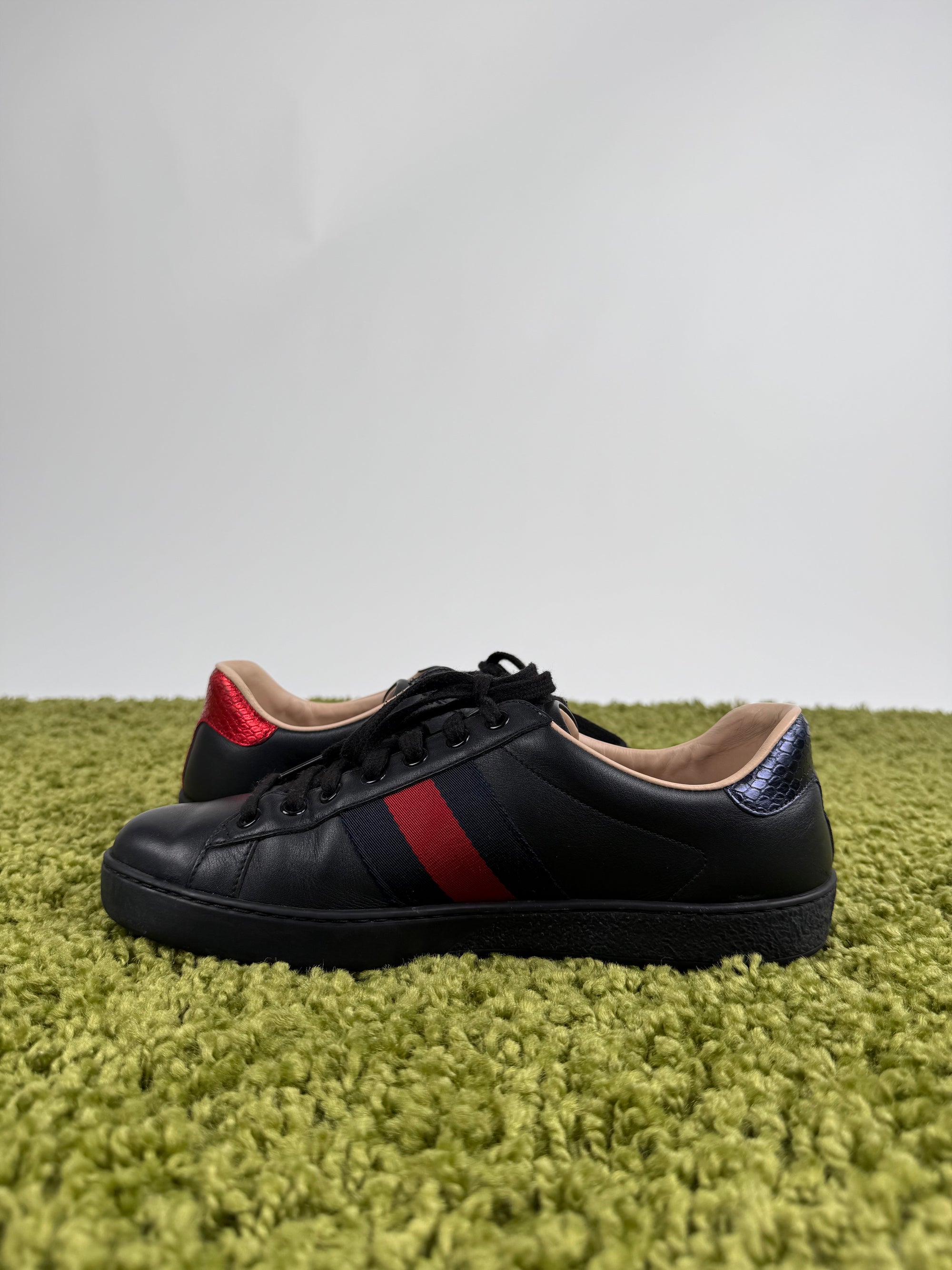 Gucci Ace Sneaker 40 veste 40,5