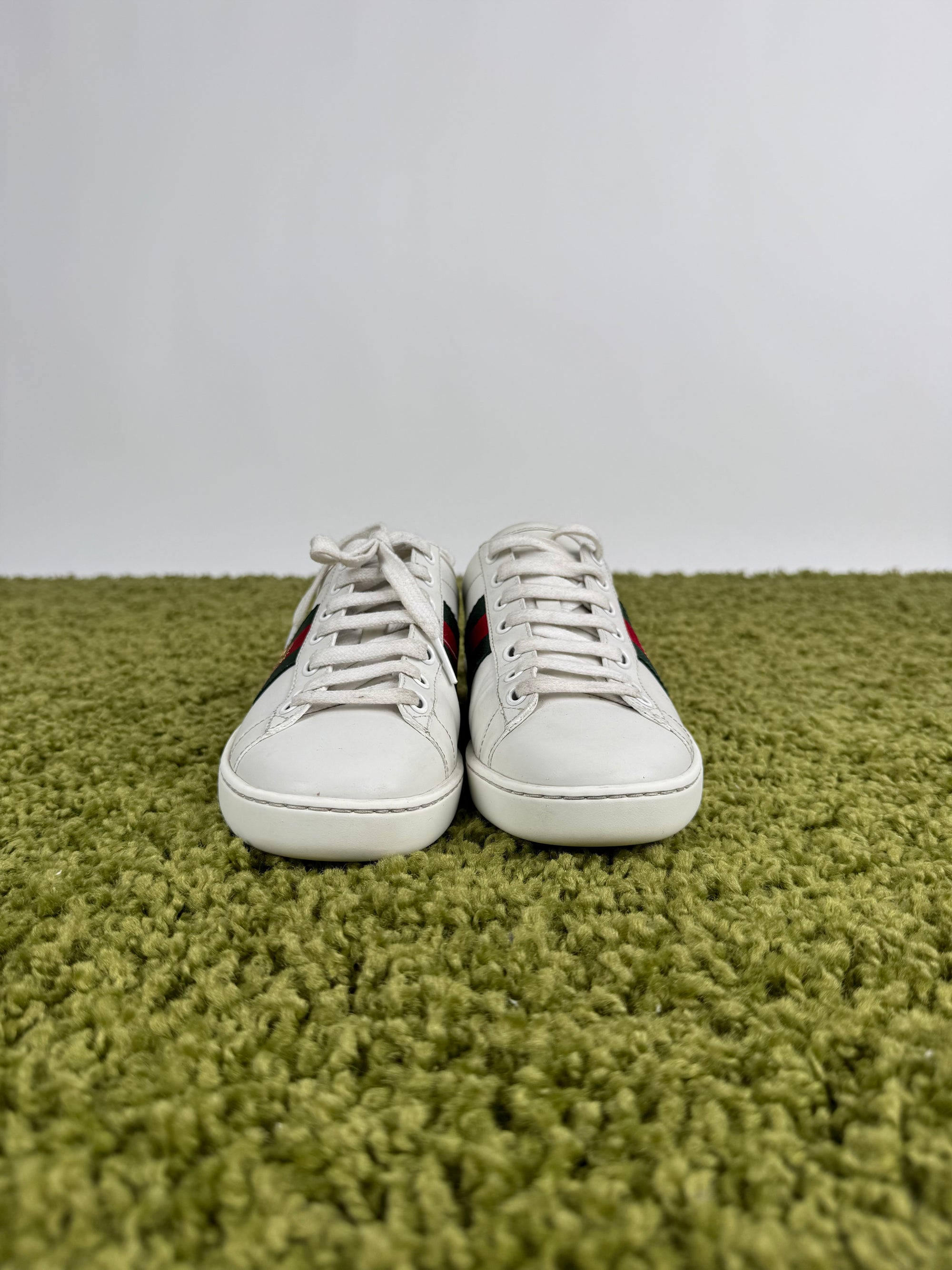 Gucci Ace Sneaker 35,5 veste 36