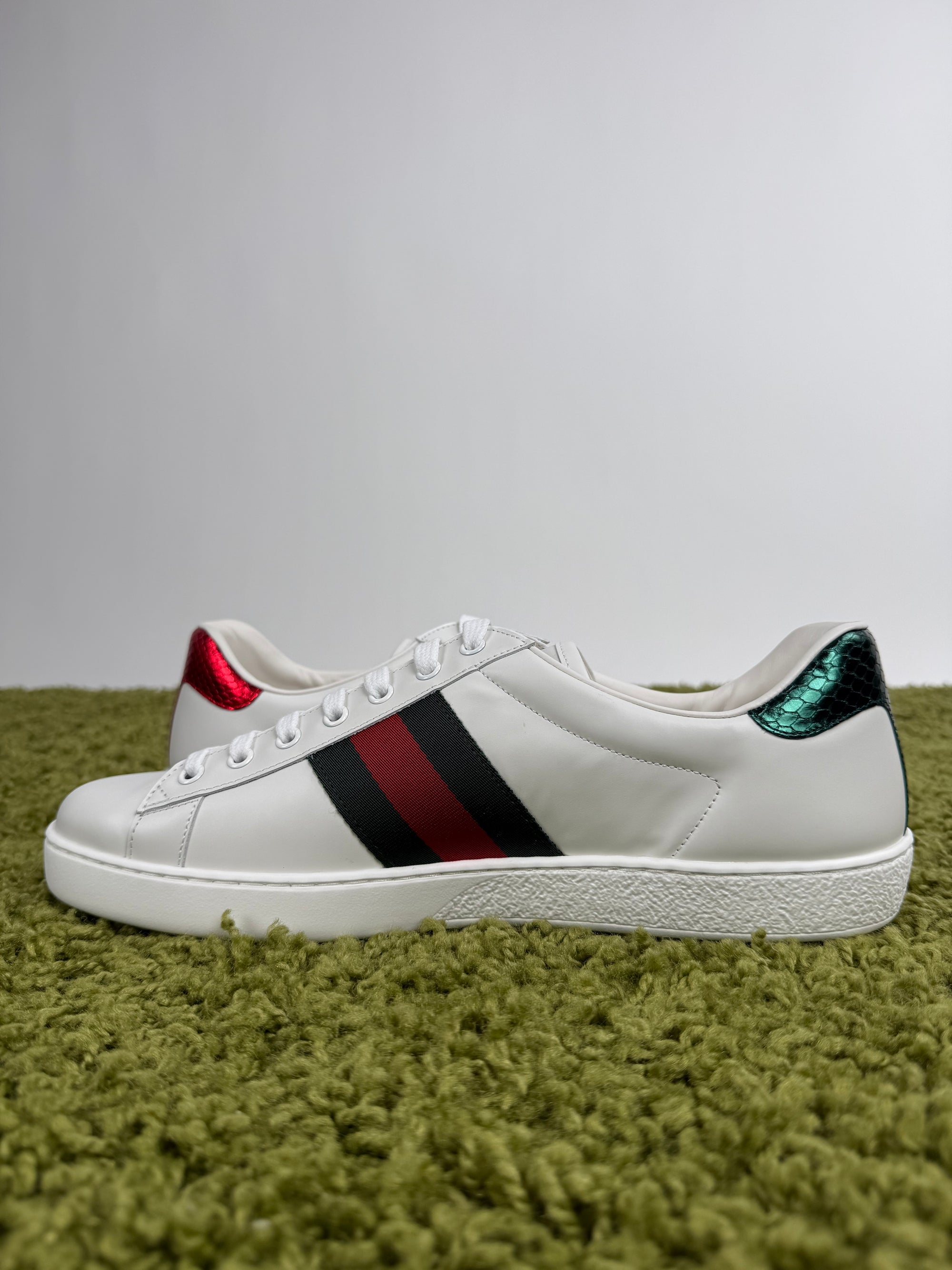 Gucci Ace Bianca 11.5
