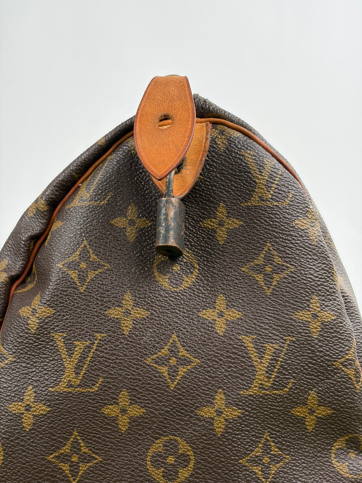 Borsa Louis Vuitton Speedy Marrone