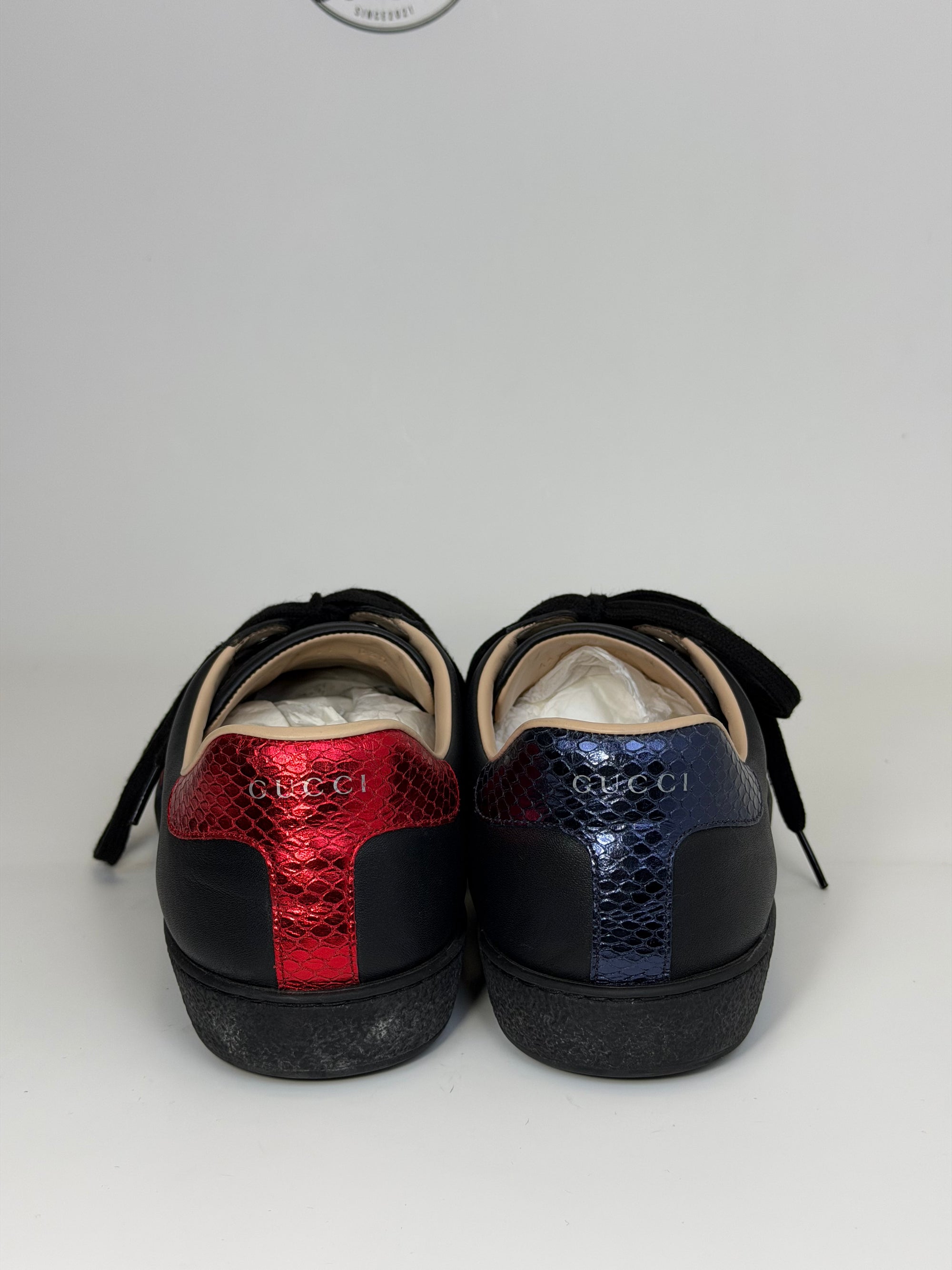 Gucci Ace Size 11=45 veste 45.5 nere blu e rosse