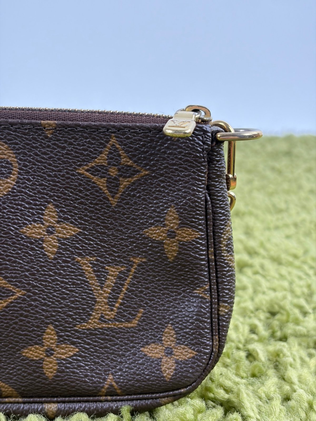 Mini Borsa Louis Vuitton Marrone - Second Hand Di Fiore
