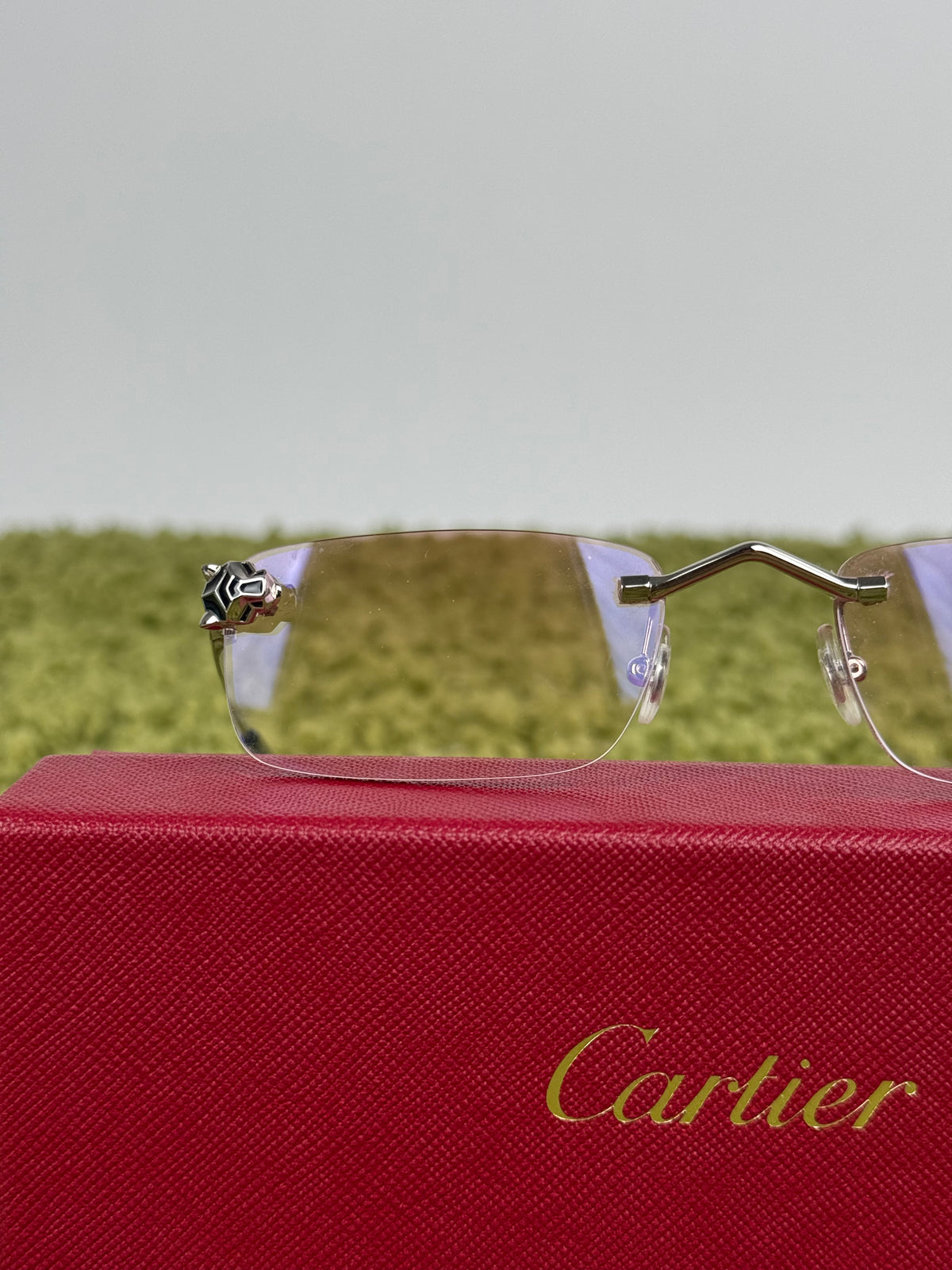 Cartier Panthère de cartier con aste argento