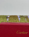 Cartier Panthère de cartier con aste argento