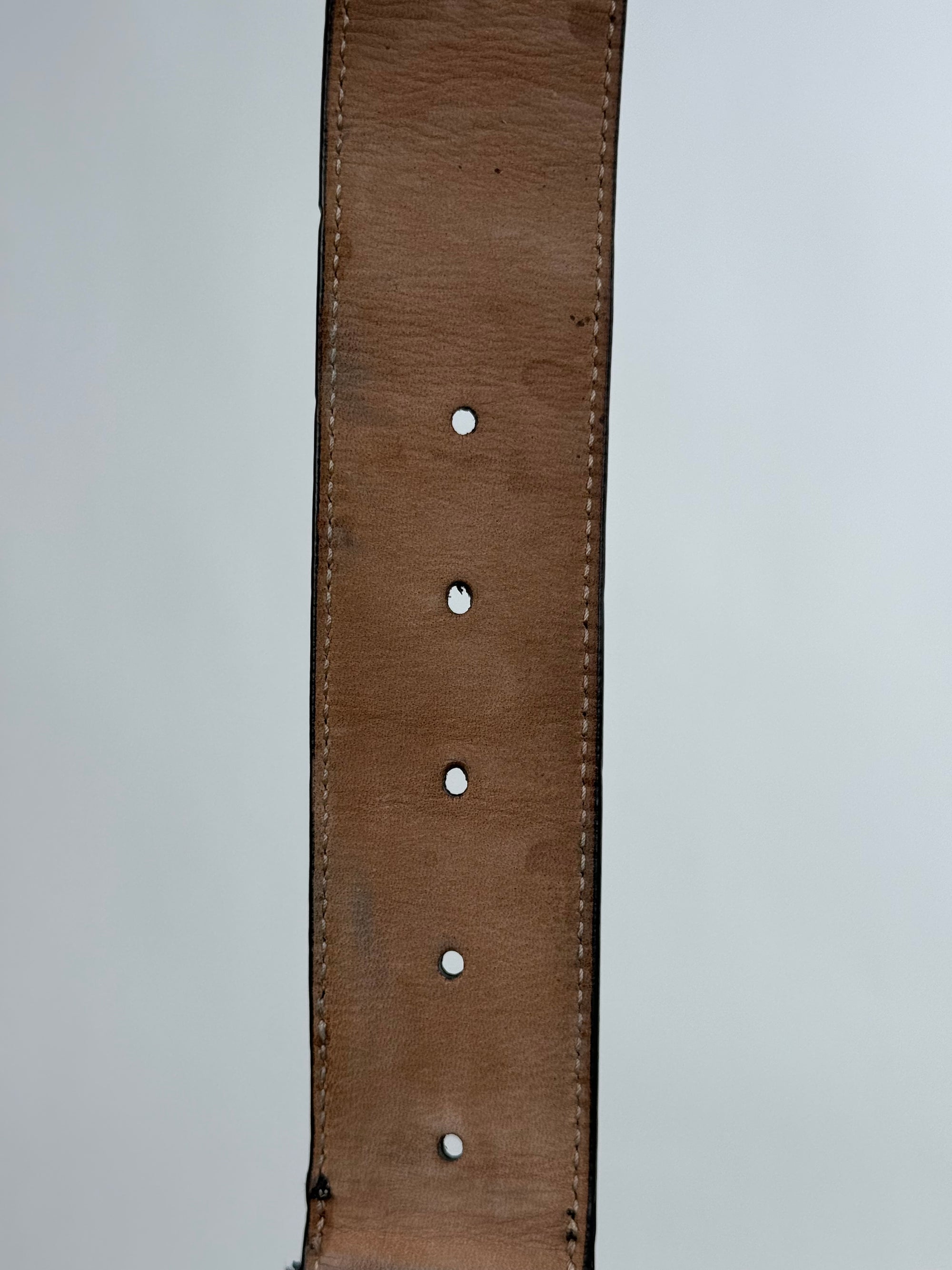 Cintura Gucci blu Multicolor 90/36