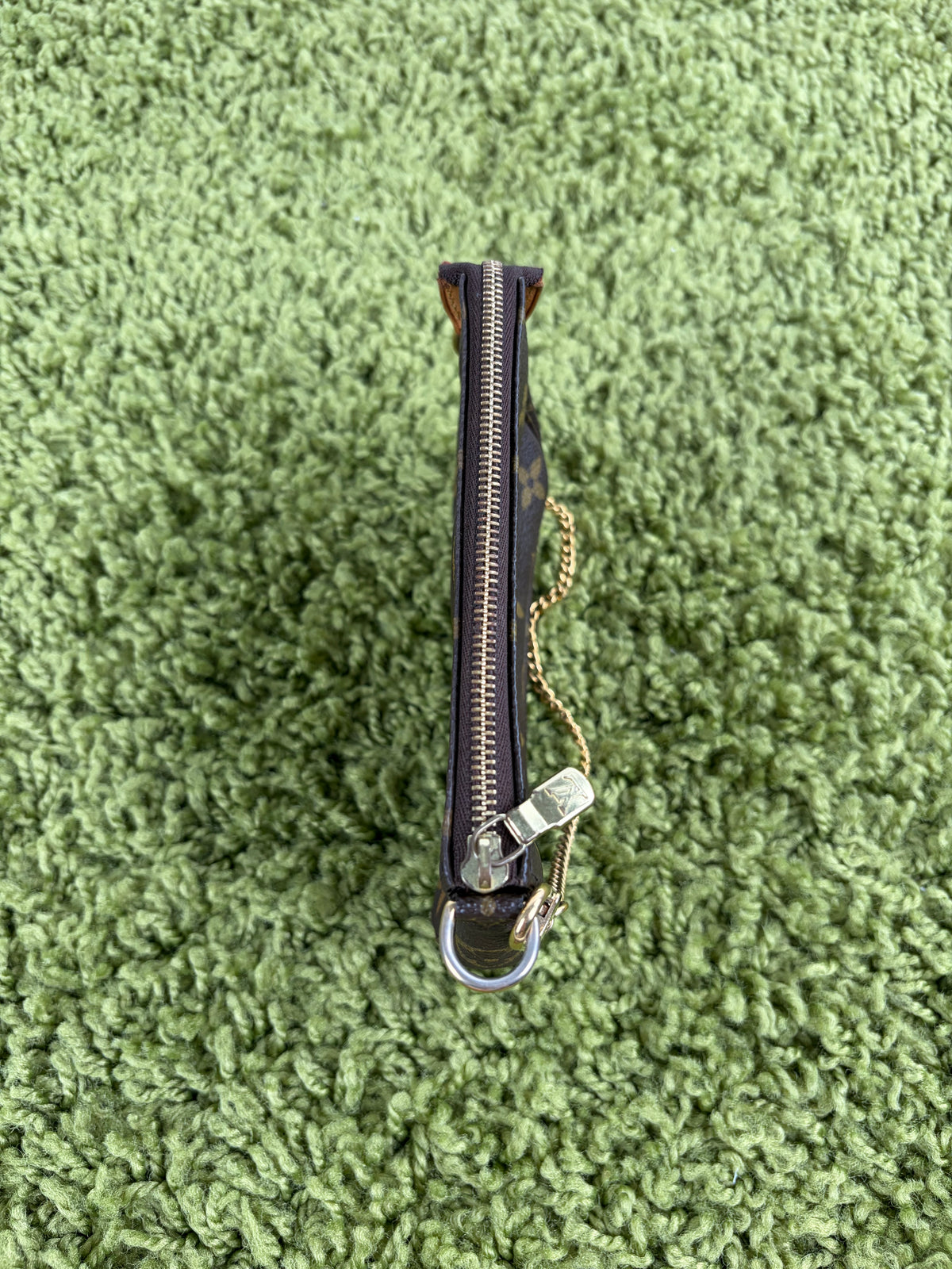 Mini Borsa Louis Vuitton Marrone