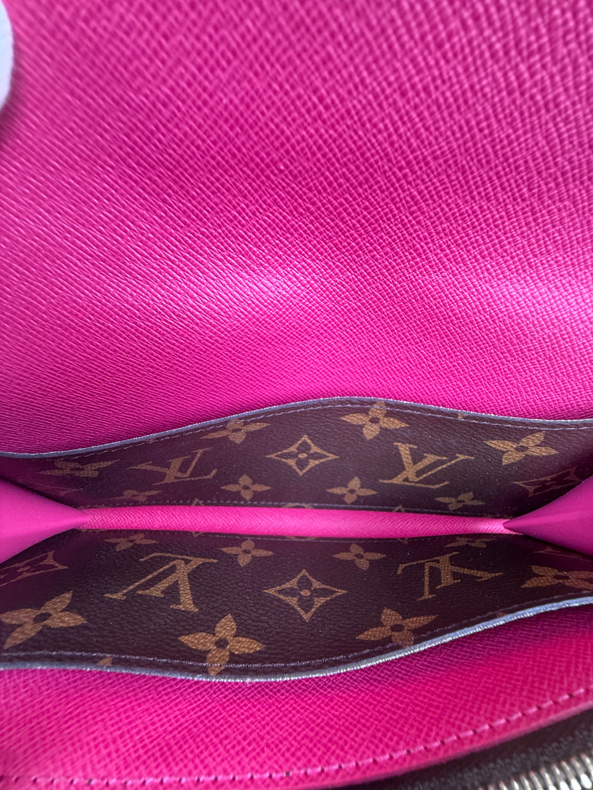 Portafoglio Emily Bloom Flower Louis Vuitton Marrone
