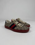 Sneaker Gucci Ace Supreme