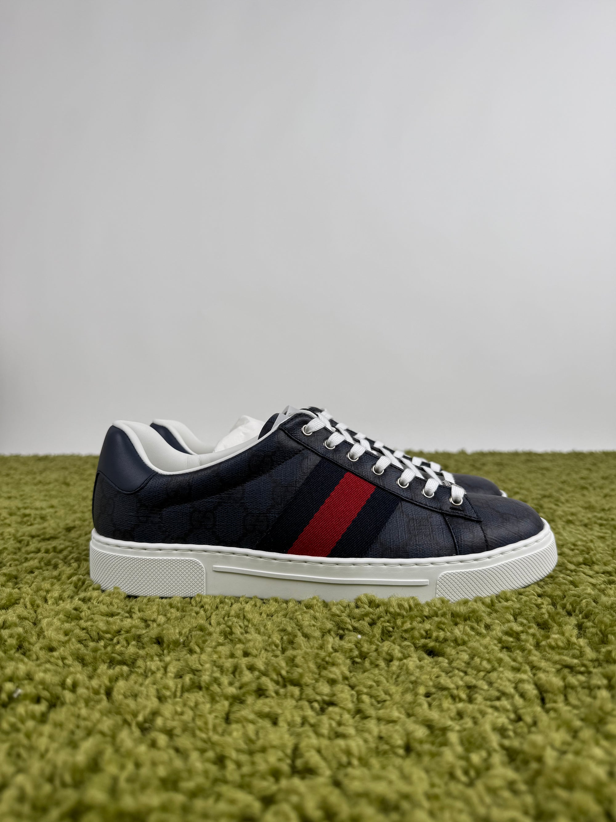 Gucci Ace Sneaker 40,5 veste 41